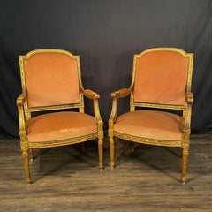 Antique French Louis XVI Salon Suite with Sofa Armchairs & Side Chairs