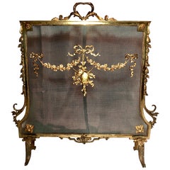 Antique French Louis XVI Style Bronze D' Ore Firescreen, circa 1880