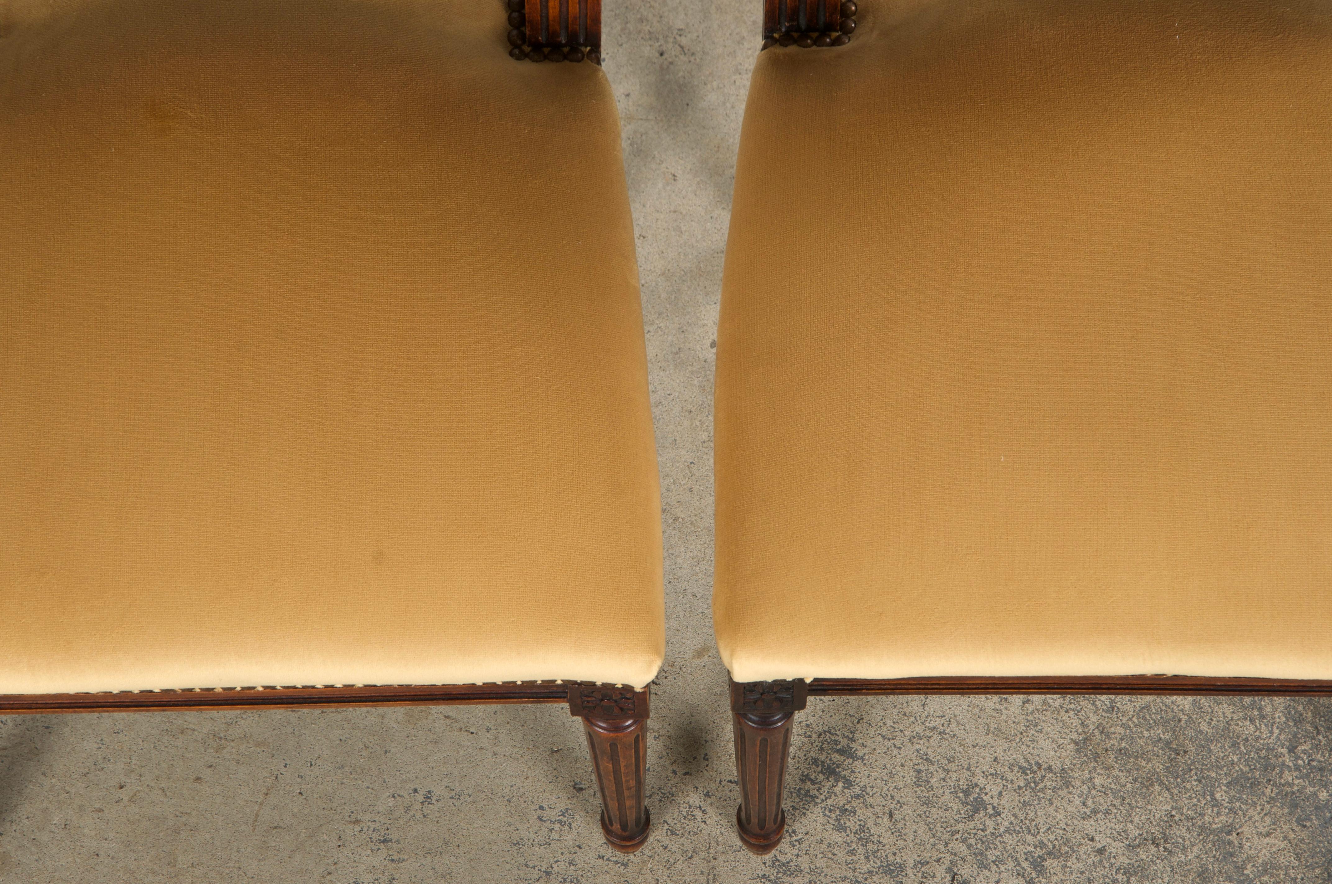 Antique French Louis XVI Style Maple Side Chairs in Golden Yellow Velvet- A Pair In Good Condition For Sale In Astoria, NY