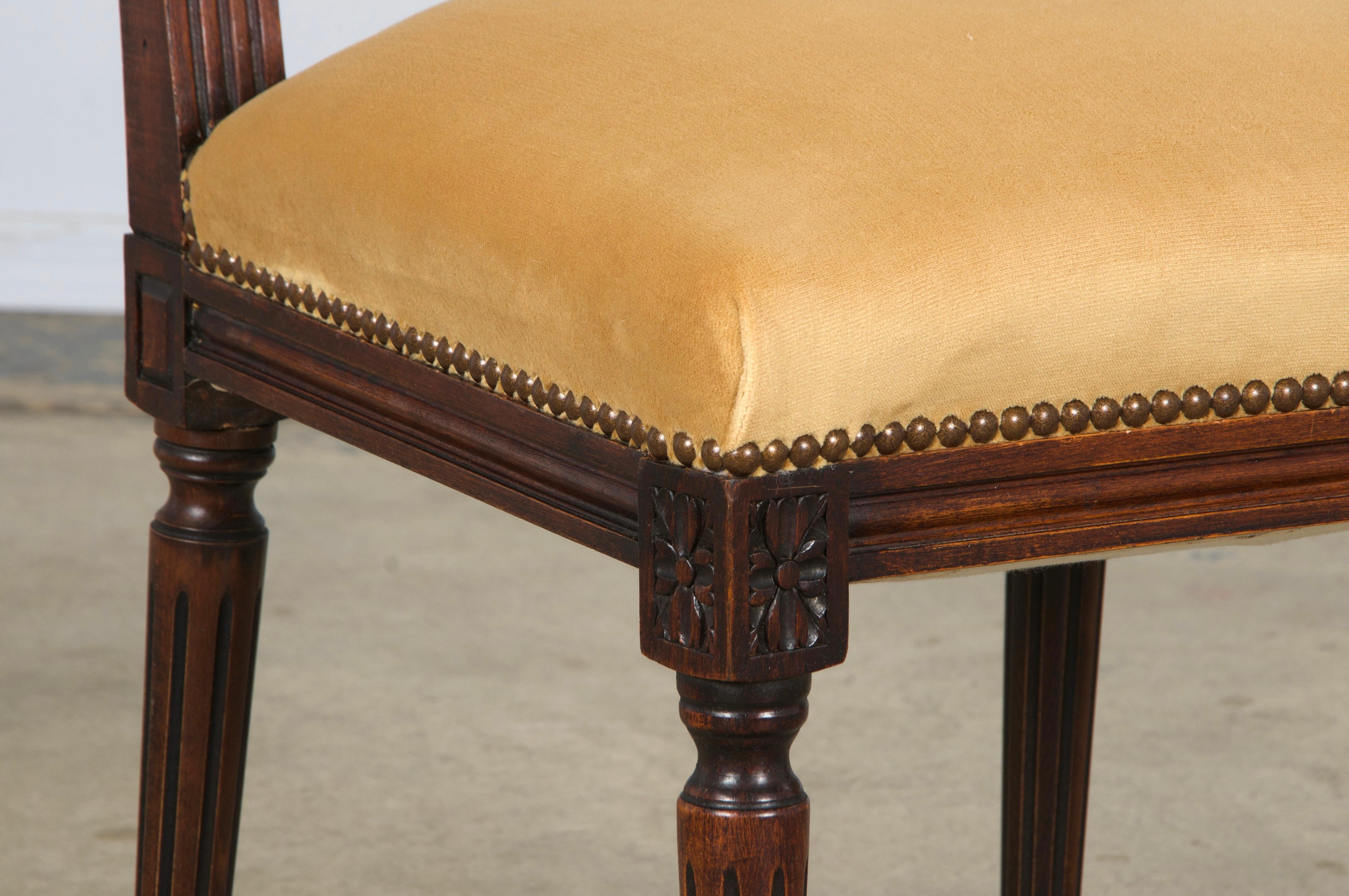 Antique French Louis XVI Style Maple Side Chairs in Golden Yellow Velvet- A Pair For Sale 4
