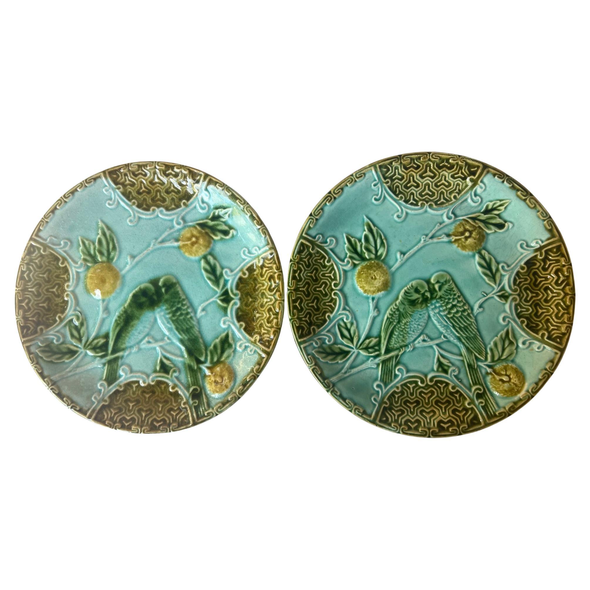 Set di due piatti antichi in maiolica francese realizzati da Salins in Francia intorno al 1900. I piatti in stile art nouveau presentano fiori e pappagallini.