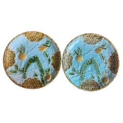 Antique French Majolica Plates by Salins, Set di 2, c.C.