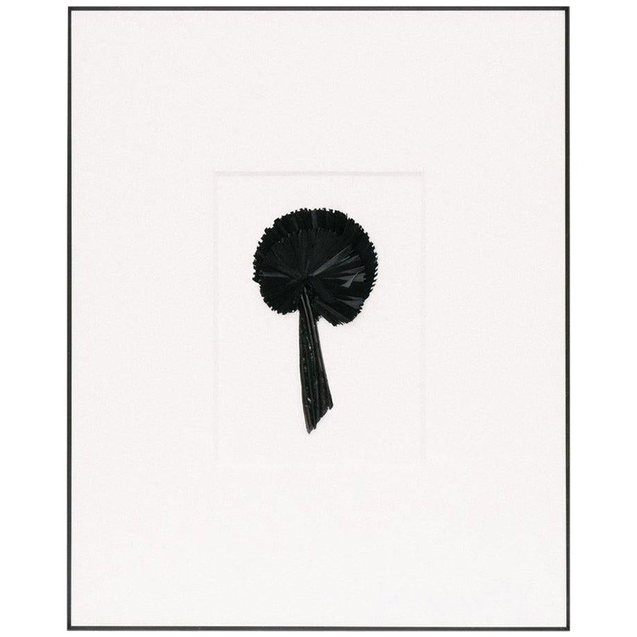 Antique French Millinery Aigrette Graphic Art