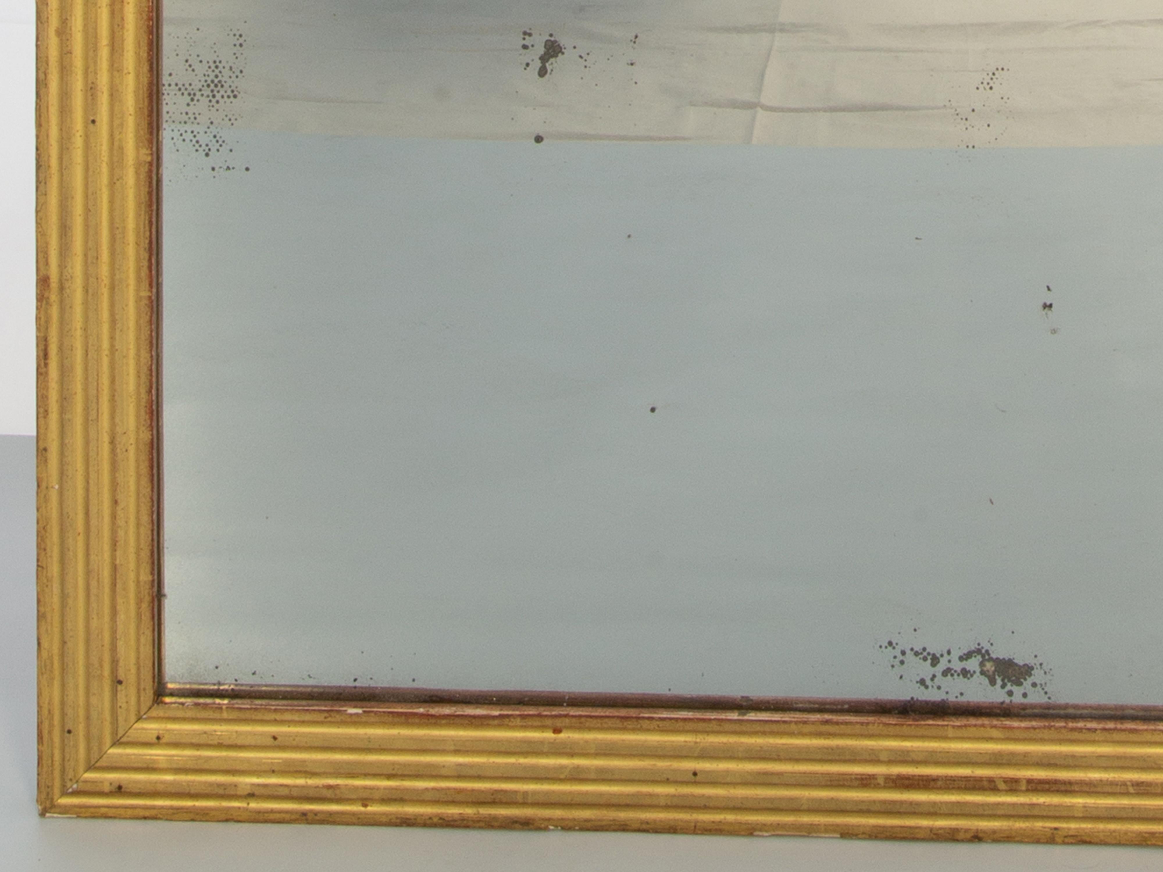 Antiker französischer Monumentaler Boiserie-Paneelspiegel (Neoklassisch) im Angebot