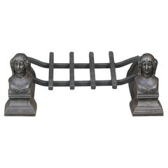 Antique French Napoleon III Fire Grate, Fireplace Grate, 19th Century