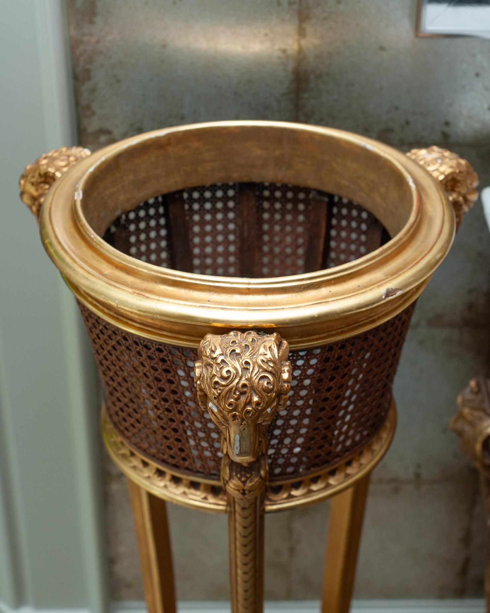 Hand-Carved Antique French Napoleon III Giltwood and Can Webbing Plant Stand / Jardiniere