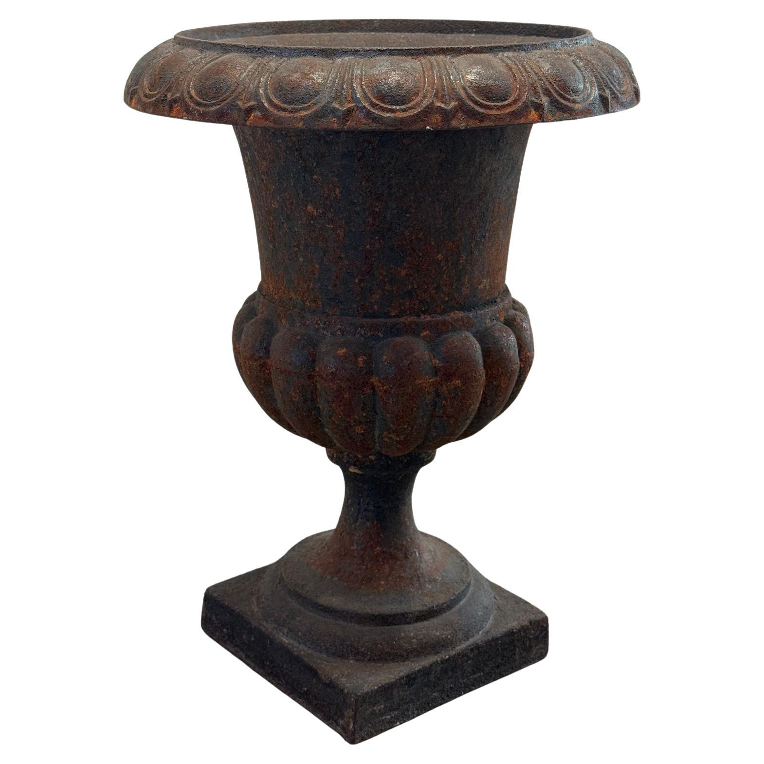 Antique French Neoclassical Cast Iron Mini Urn Planter – Aged Patina
