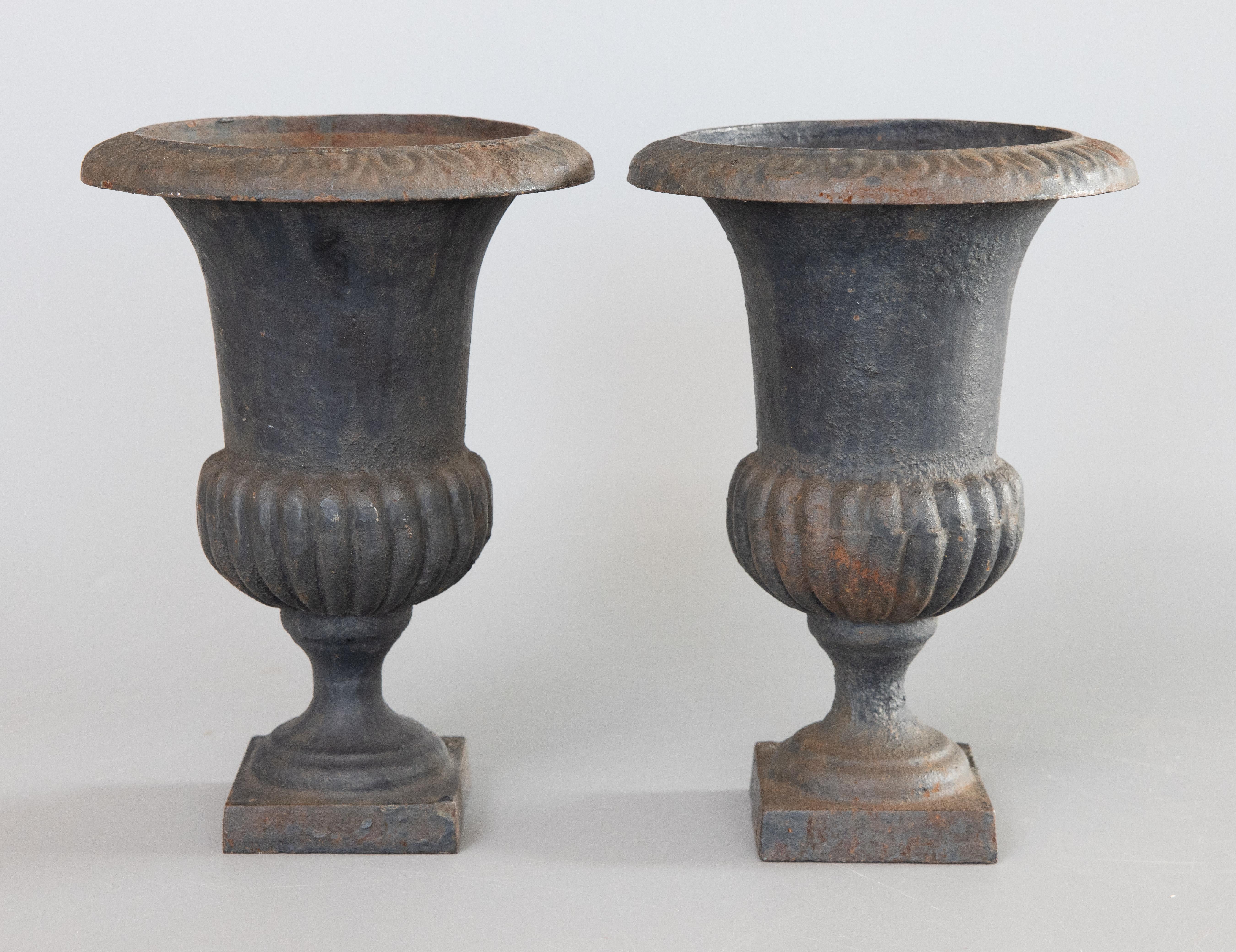 Un'eccezionale coppia di piccole urne da camino o fioriere in ghisa in stile neoclassico francese. Queste urne sono solide e pesanti e conservano la loro incredibile patina originale. Le sfere decorative non sono incluse.

DIMENSIONI
6ʺL × 6ʺP ×