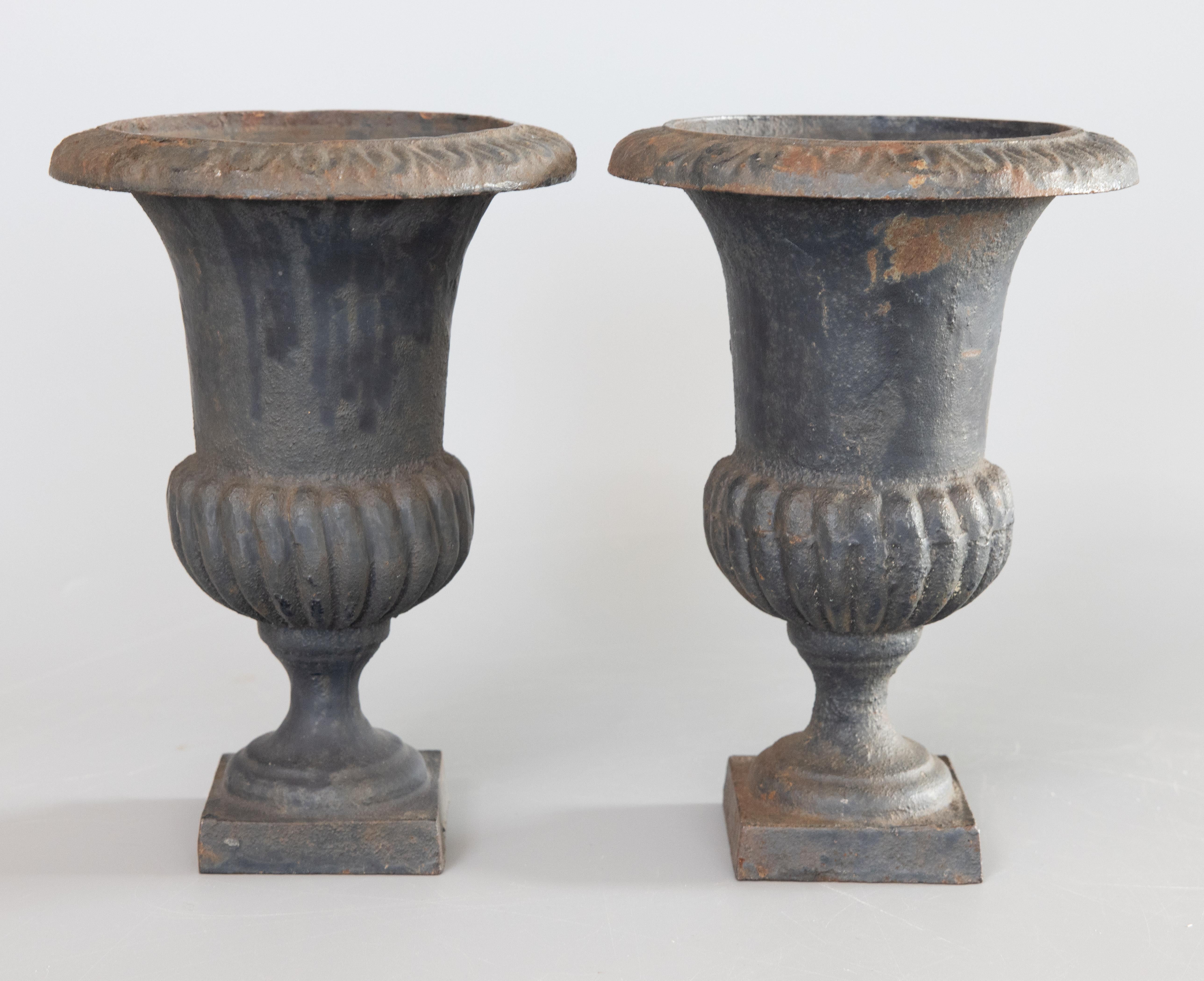 Neoclassico Coppia di urne in ghisa in stile neoclassico francese dei primi del Novecento in vendita
