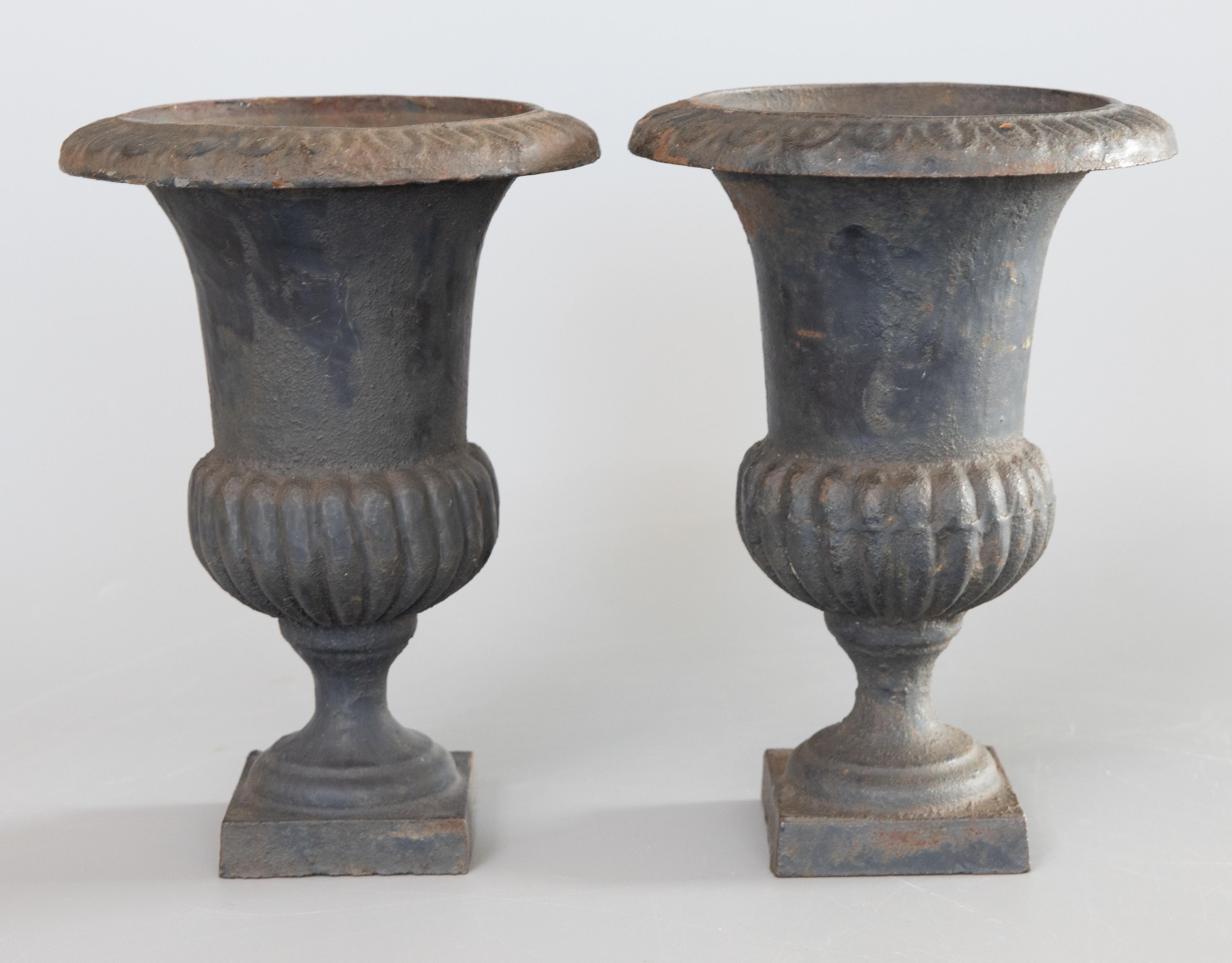 Francese Coppia di urne in ghisa in stile neoclassico francese dei primi del Novecento in vendita