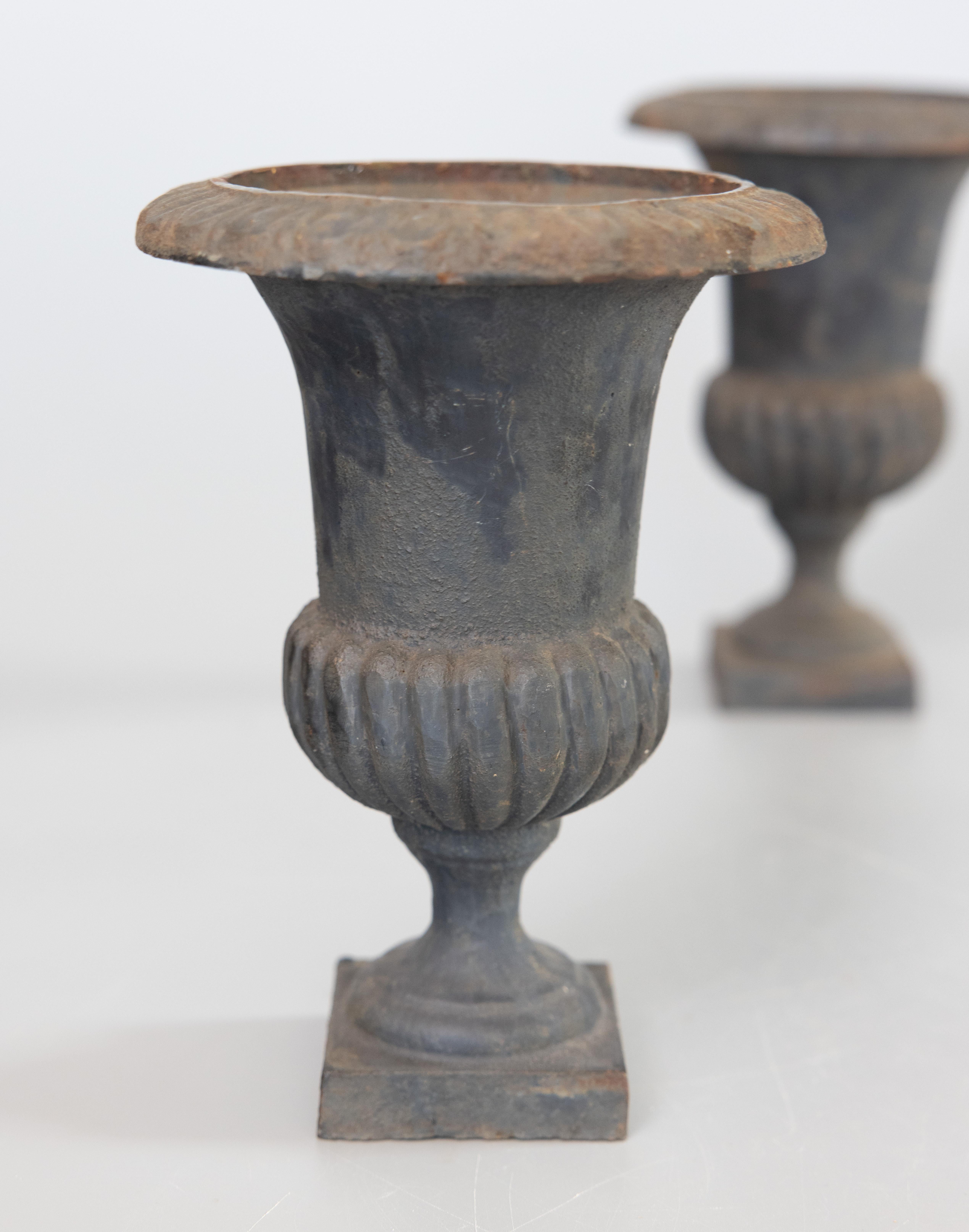 Calco Coppia di urne in ghisa in stile neoclassico francese dei primi del Novecento in vendita