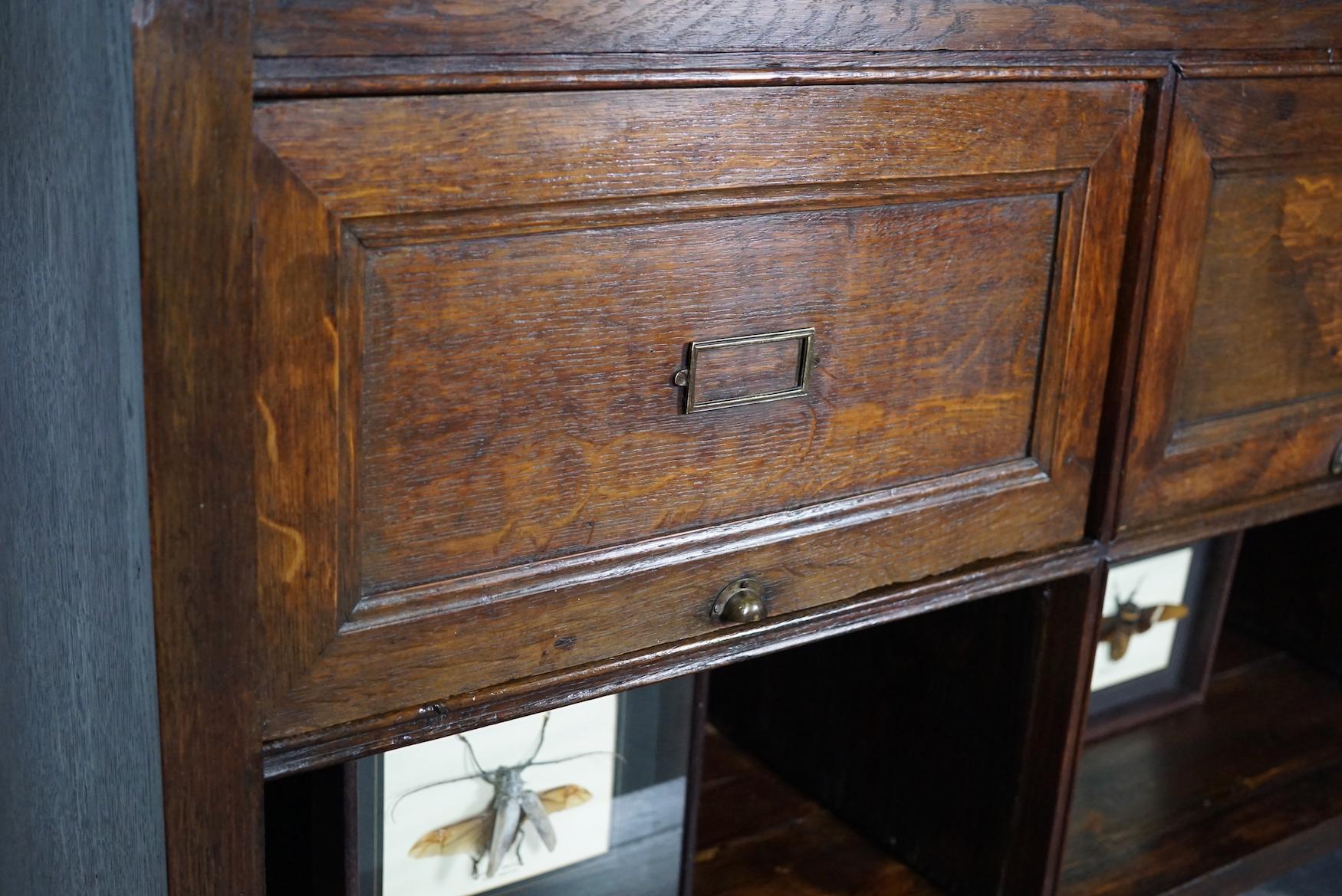 Antique French Oak Apothecary / Filing Cabinet Folding Doors, Early 20th Century 10