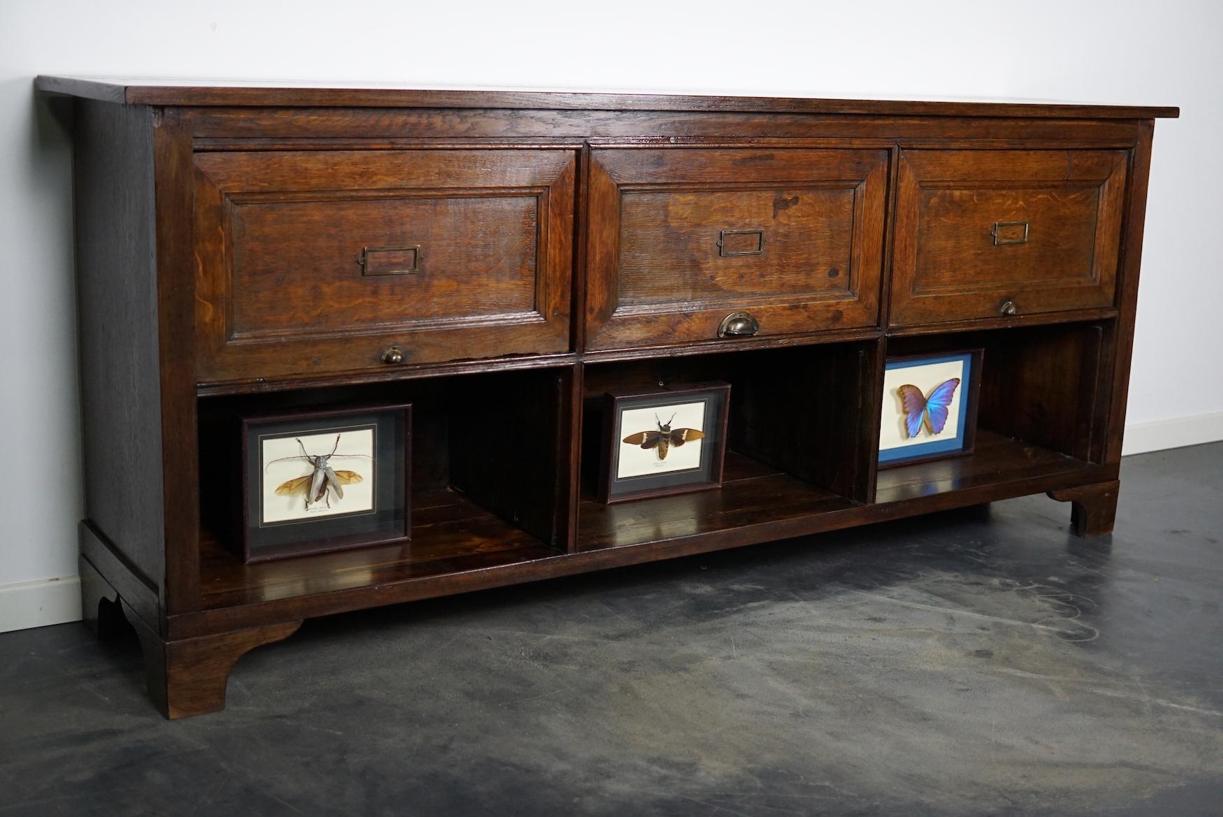 Industrial Antique French Oak Apothecary / Filing Cabinet Folding Doors, Early 20th Century