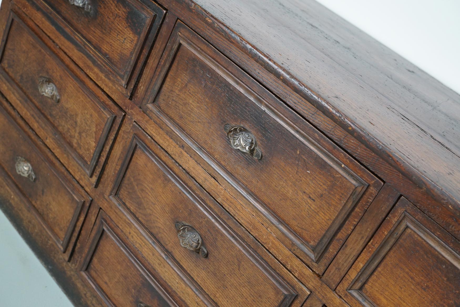 This apothecary cabinet was made in the early 20th century in France from oak and fruitwood. It features 9 large drawers with ornate cast iron handles. The interior dimensions of the drawers are: DWH 50 x 46 x 18 cm.
