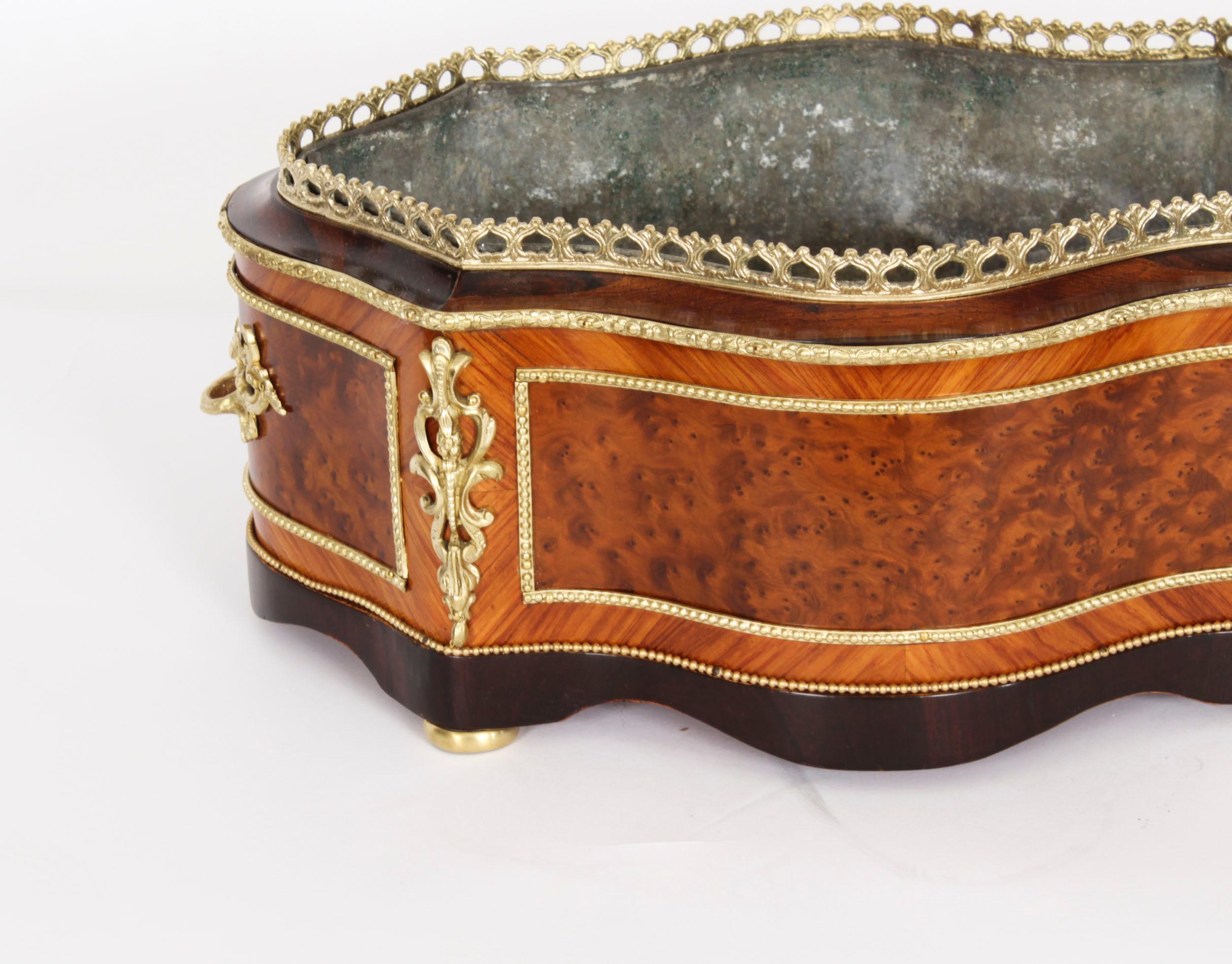Antique French Ormolu Mounted Planter Jardiniere 19th Century In Good Condition For Sale In London, GB