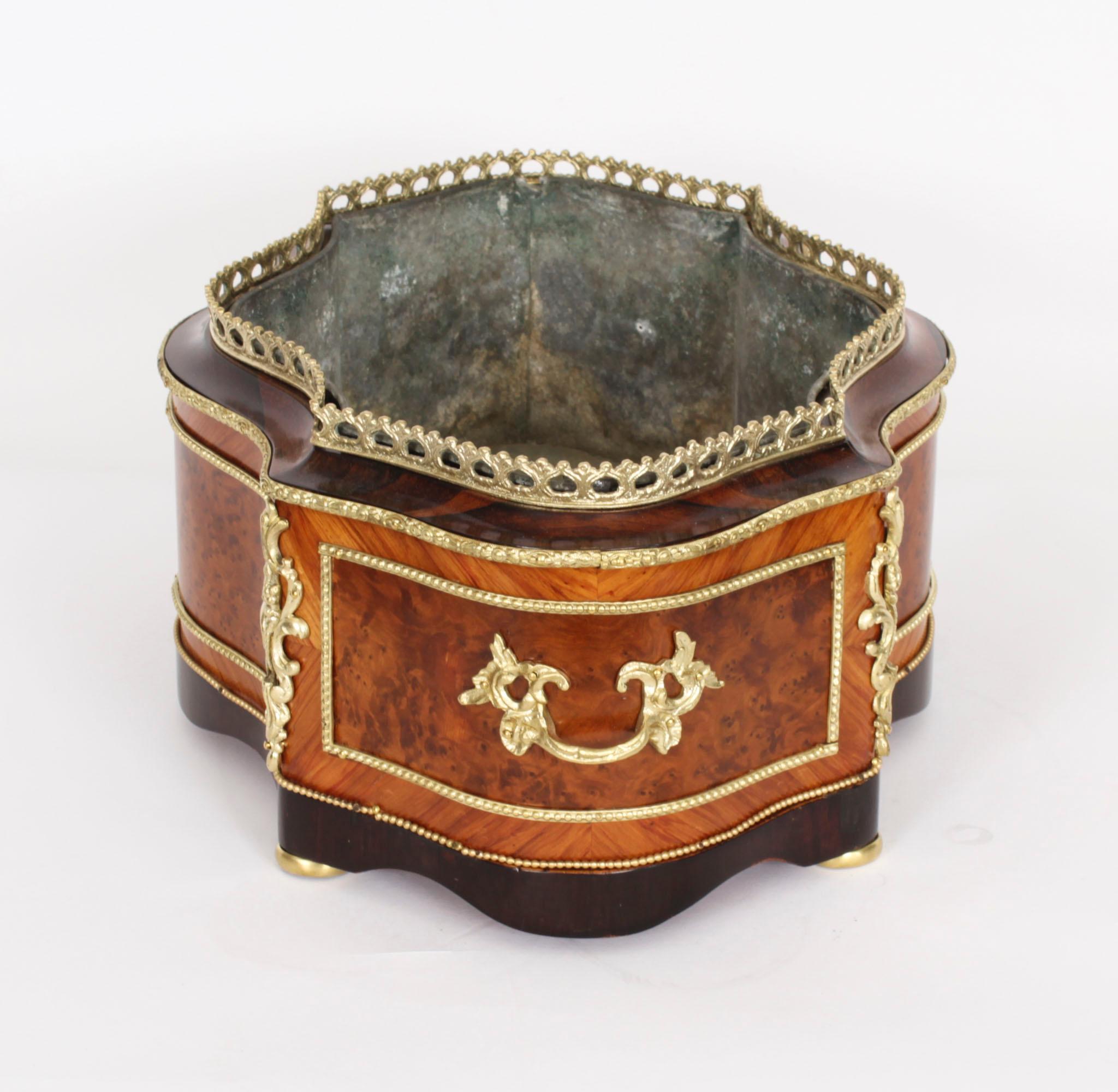 Antique French Ormolu Mounted Planter Jardiniere 19th Century For Sale 1
