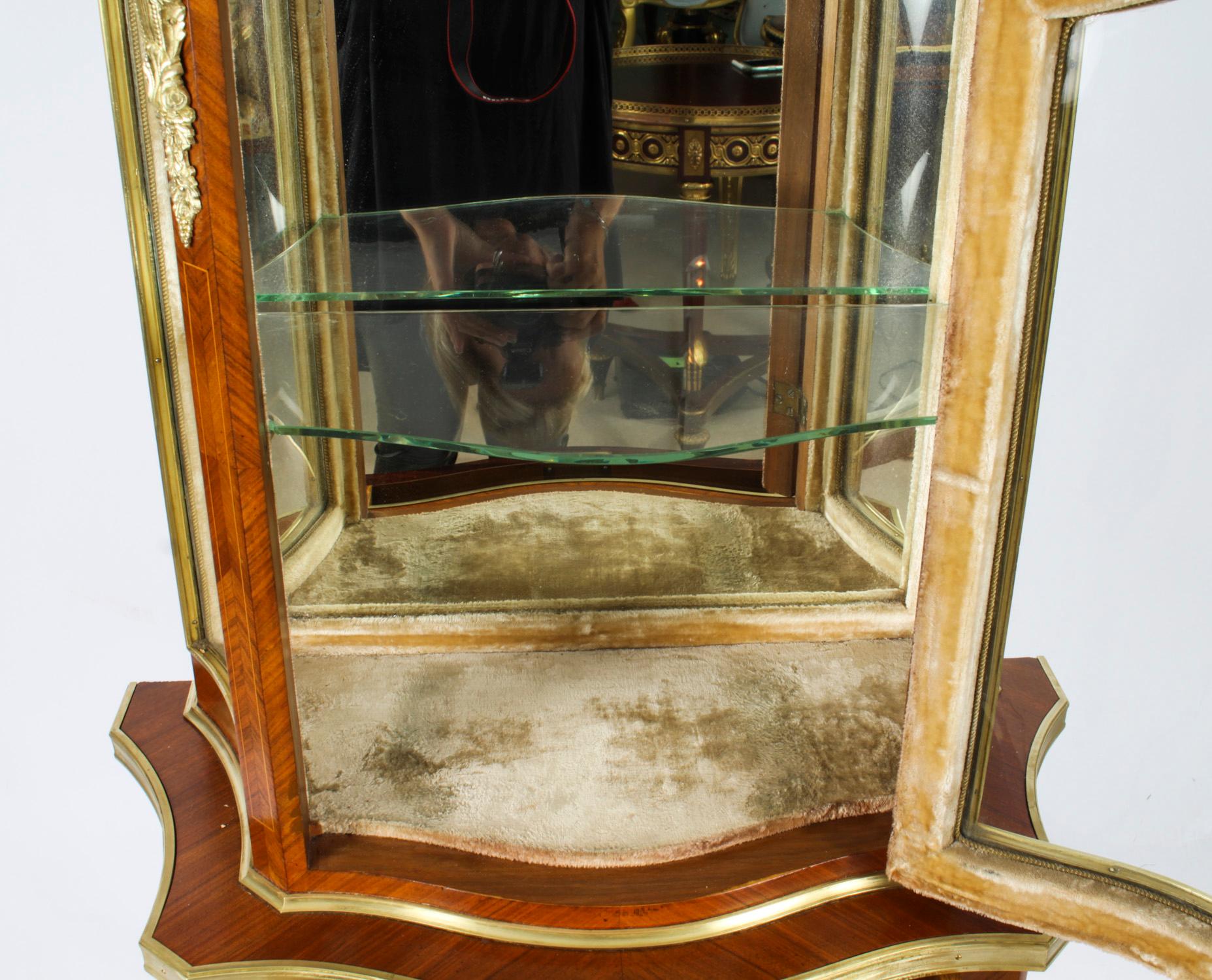 Antique French Ormolu Mountred Marquetry Display Cabinet 19th C 12