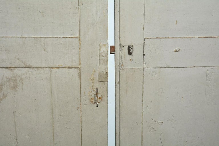 Antique French Painted Paneled Cupboard Doors For Sale at 1stDibs