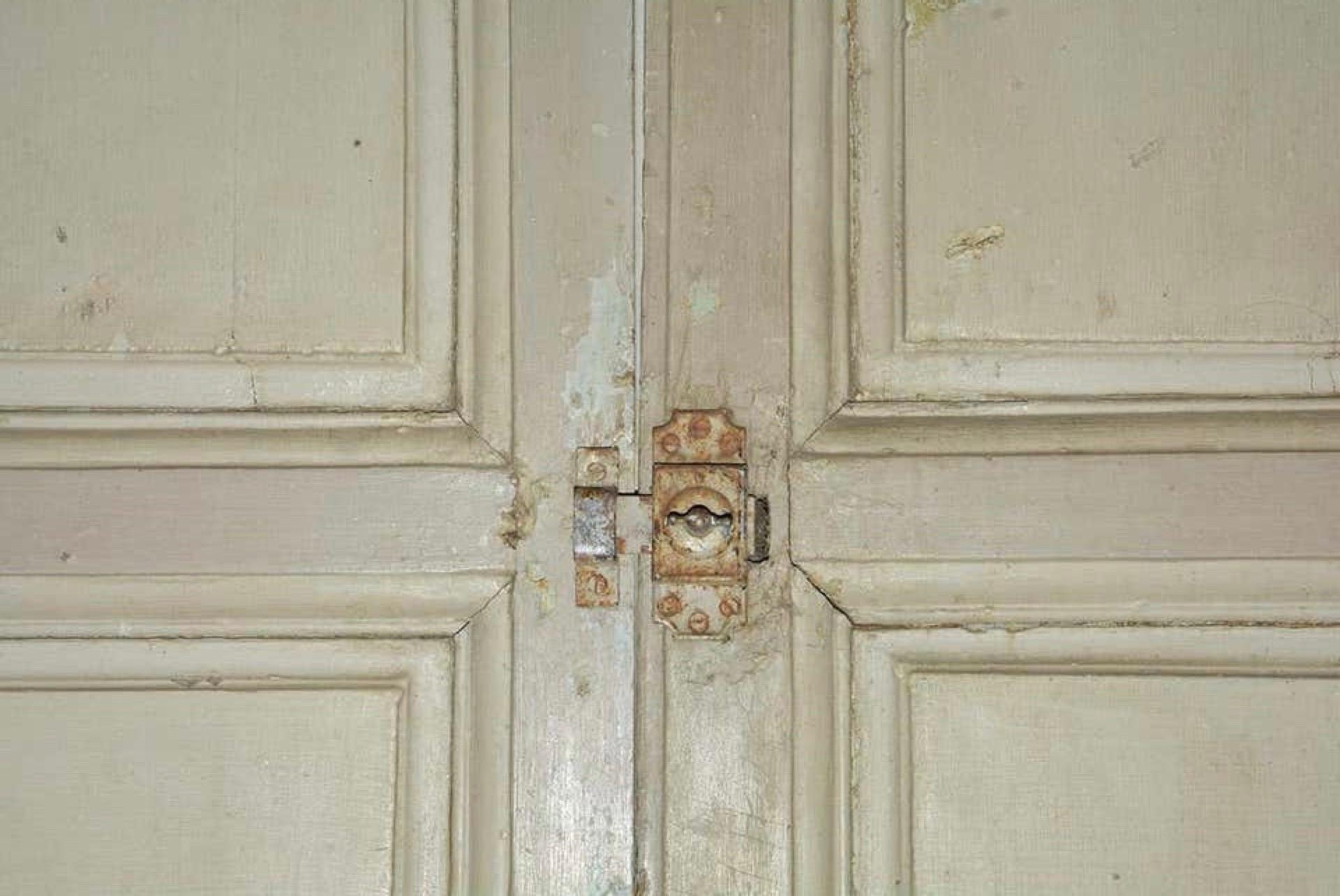 Wood Antique French Painted Paneled Cupboard Doors For Sale