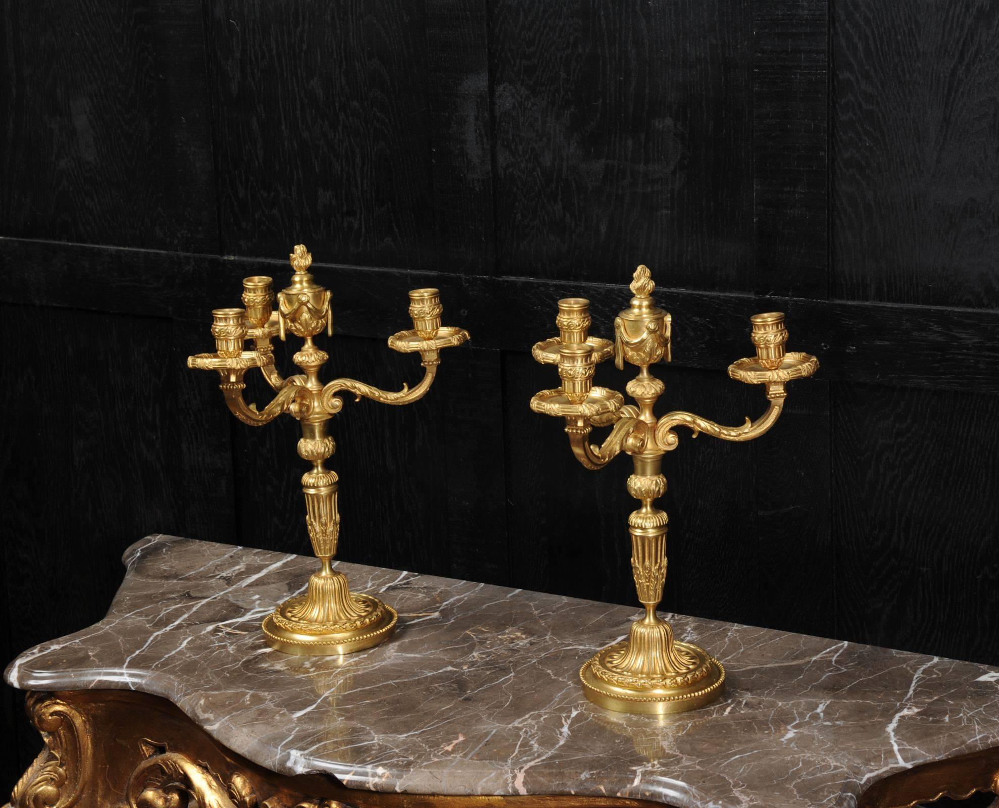 A stunning pair of gilt bronze candelabra, French dating from circa 1880. They are neoclassical in design with three branches of stylised acanthus from the reeded column support, standing on a domed base. To the centre a snuffer with flame finial.