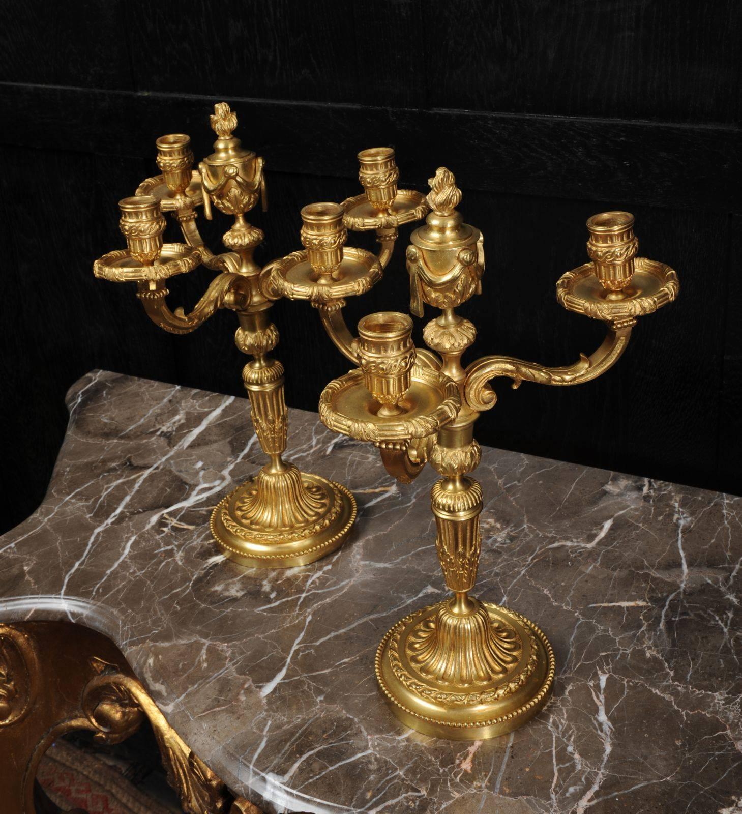 Antique French Pair of Gilt Bronze Neoclassical Candelabra 2
