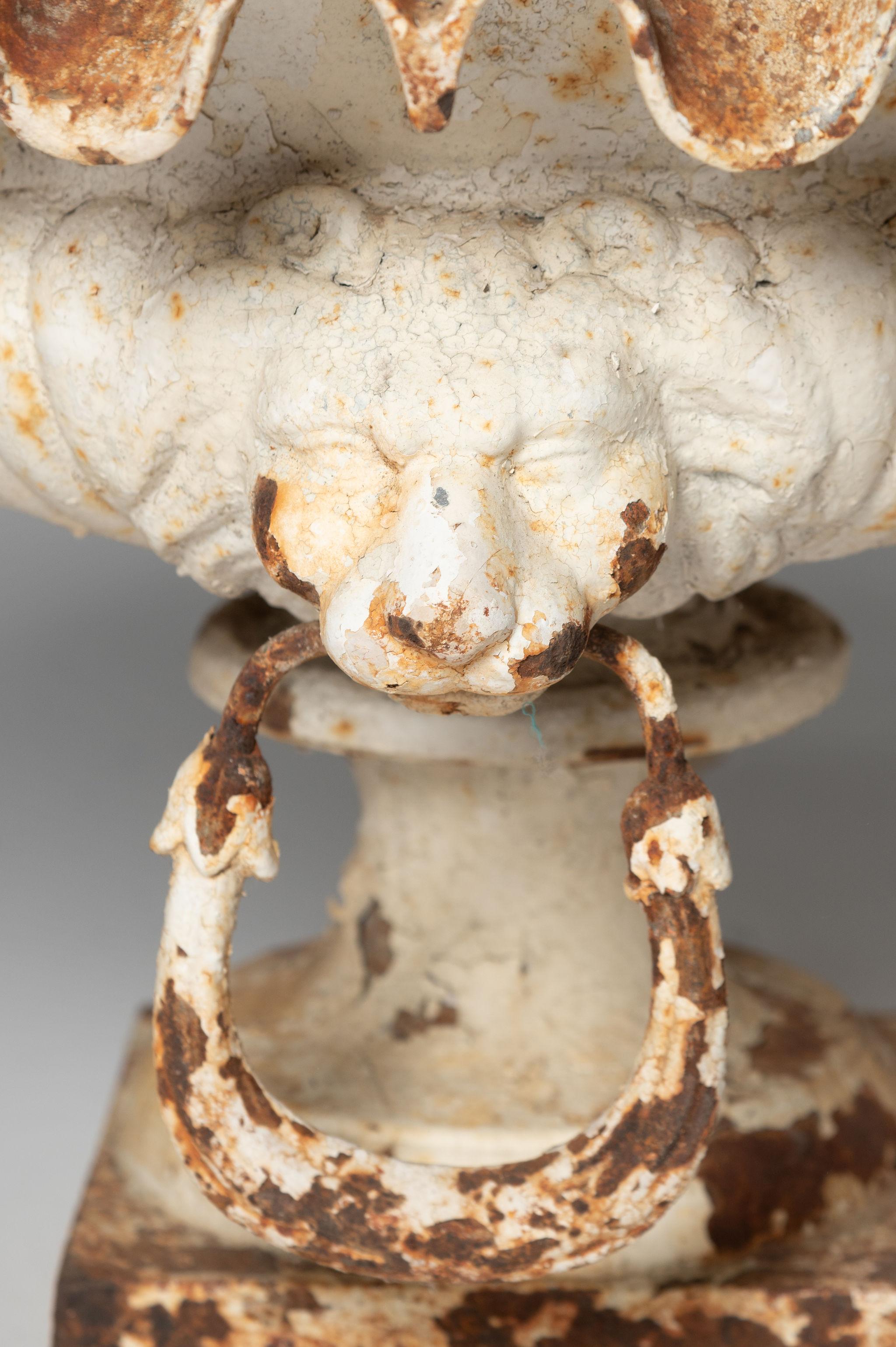 Antikes französisches Paar Urnen mit Löwenkopf, Pflanzgefäße, Gusseisen, Gusseisen  (Französisch) im Angebot