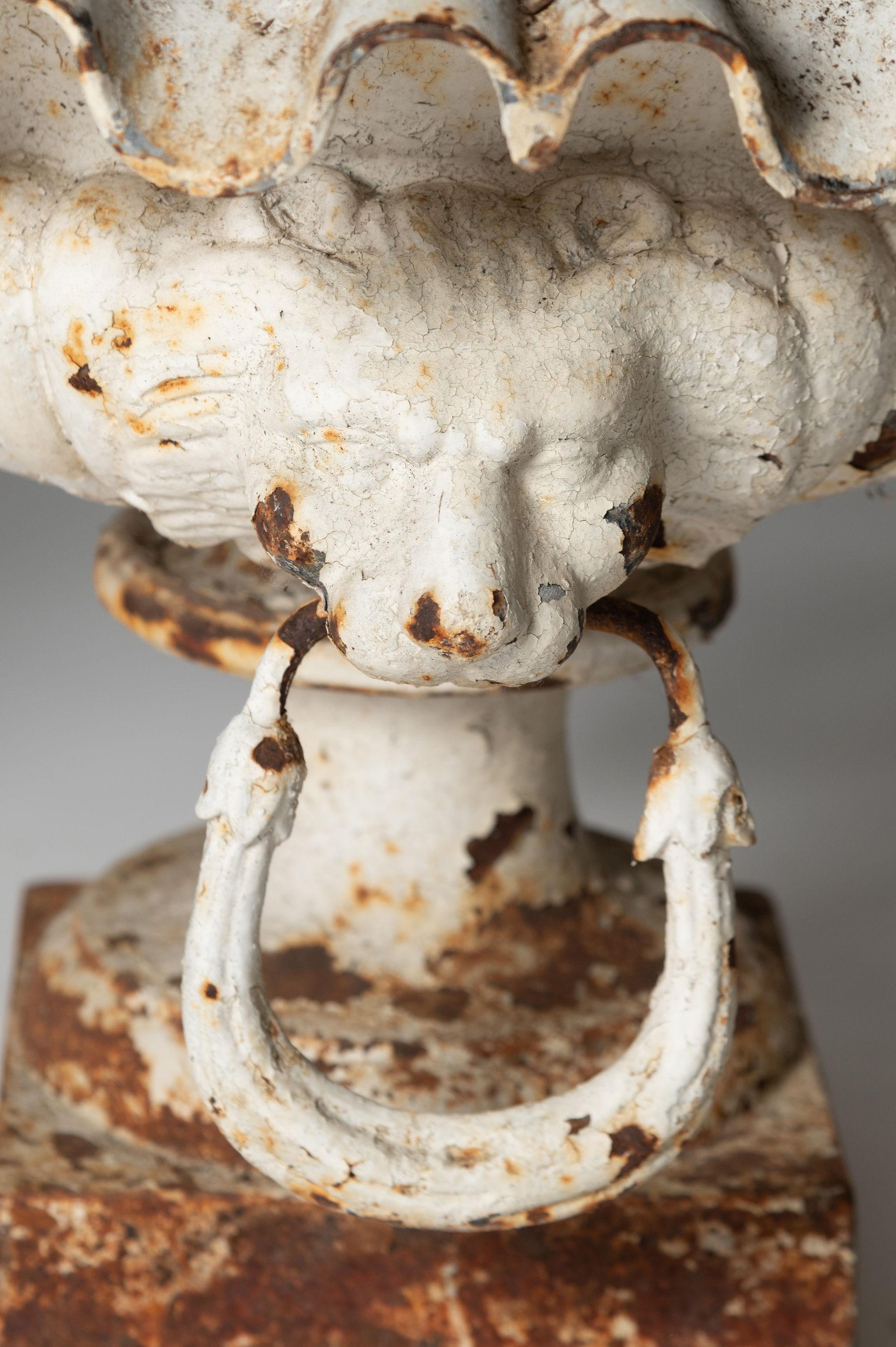 Antikes französisches Paar Urnen mit Löwenkopf, Pflanzgefäße, Gusseisen, Gusseisen  im Zustand „Gut“ im Angebot in Maidstone, GB