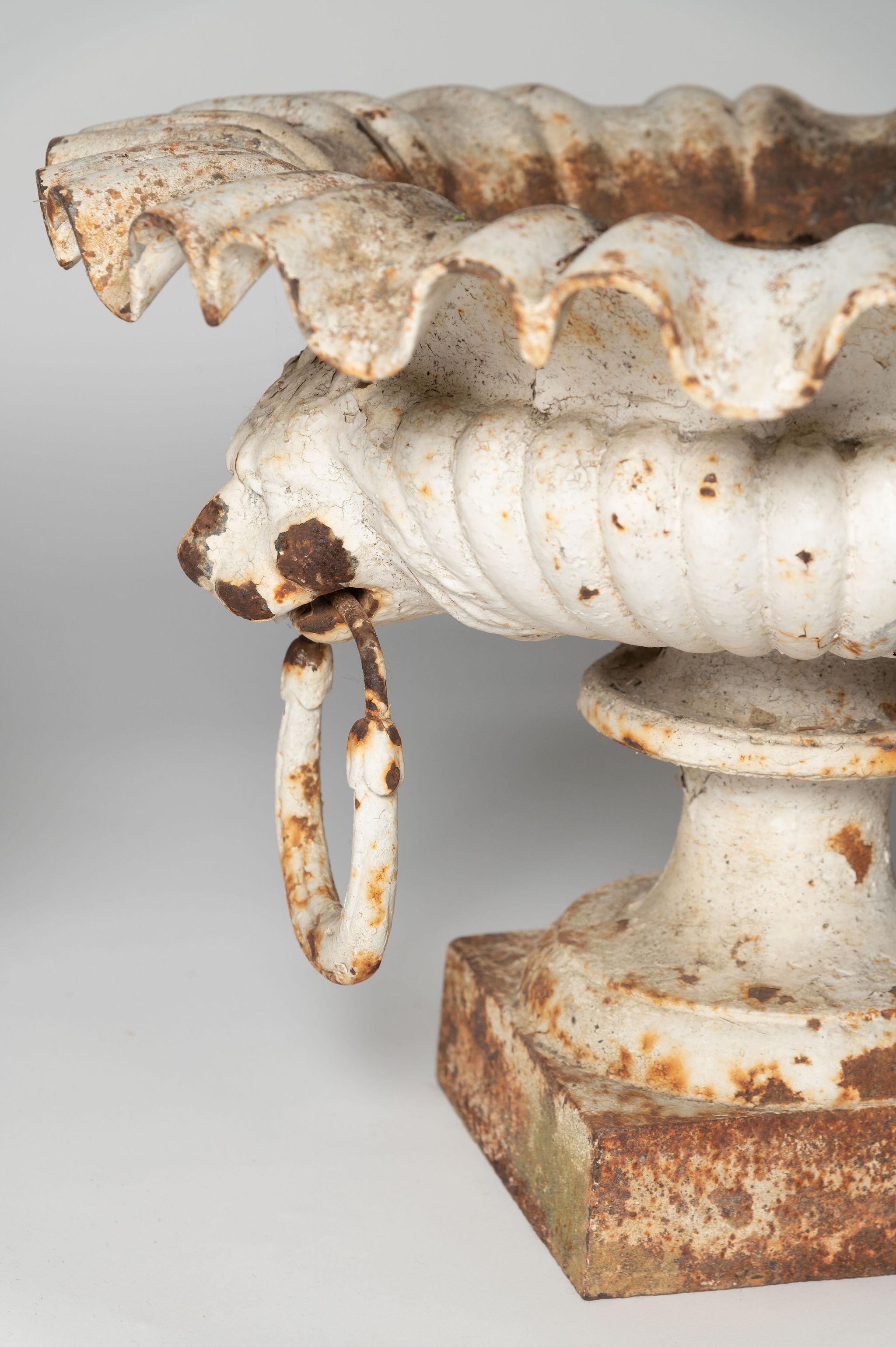 Antikes französisches Paar Urnen mit Löwenkopf, Pflanzgefäße, Gusseisen, Gusseisen  (Metall) im Angebot