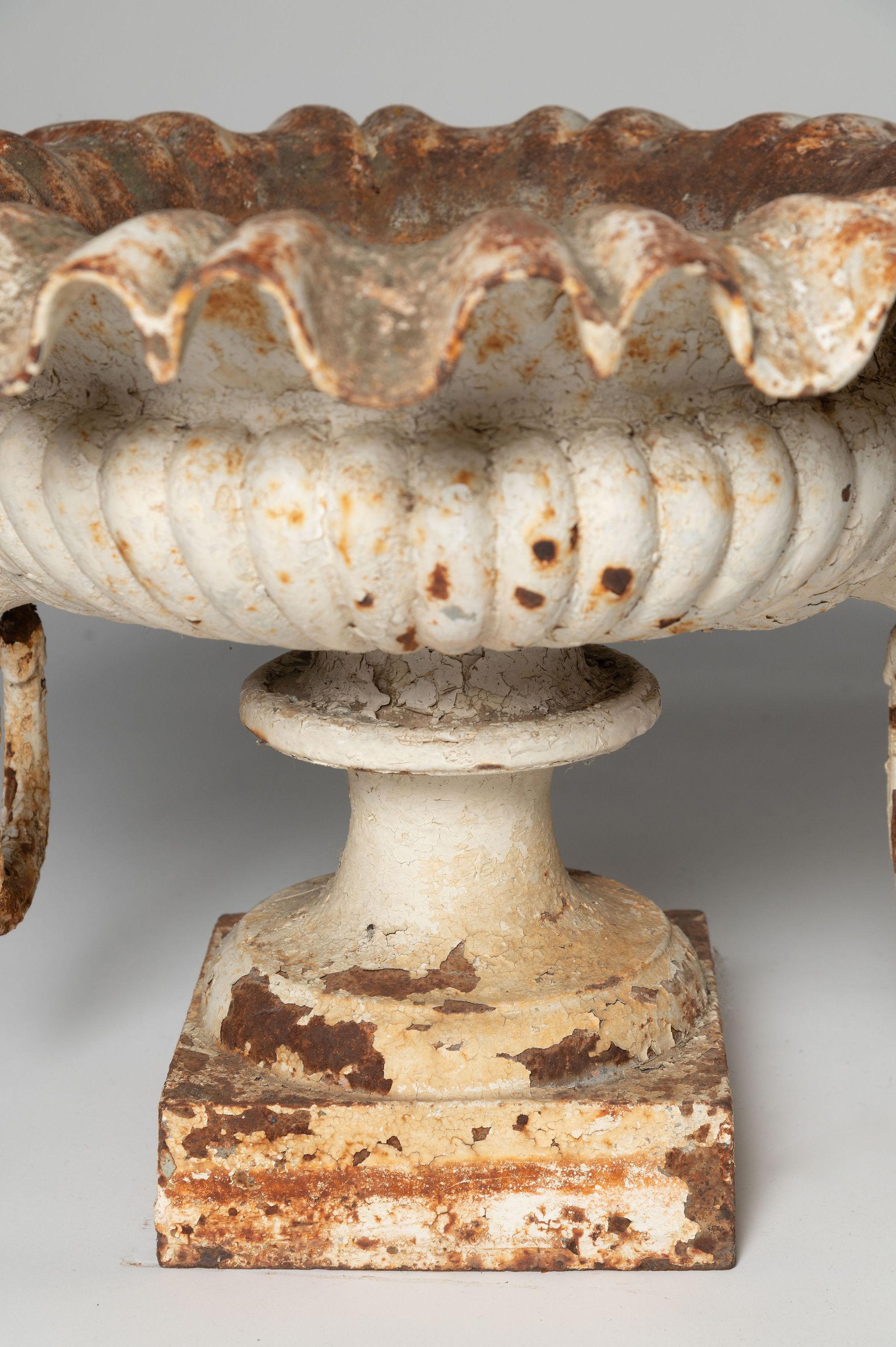 Antikes französisches Paar Urnen mit Löwenkopf, Pflanzgefäße, Gusseisen, Gusseisen  im Angebot 1