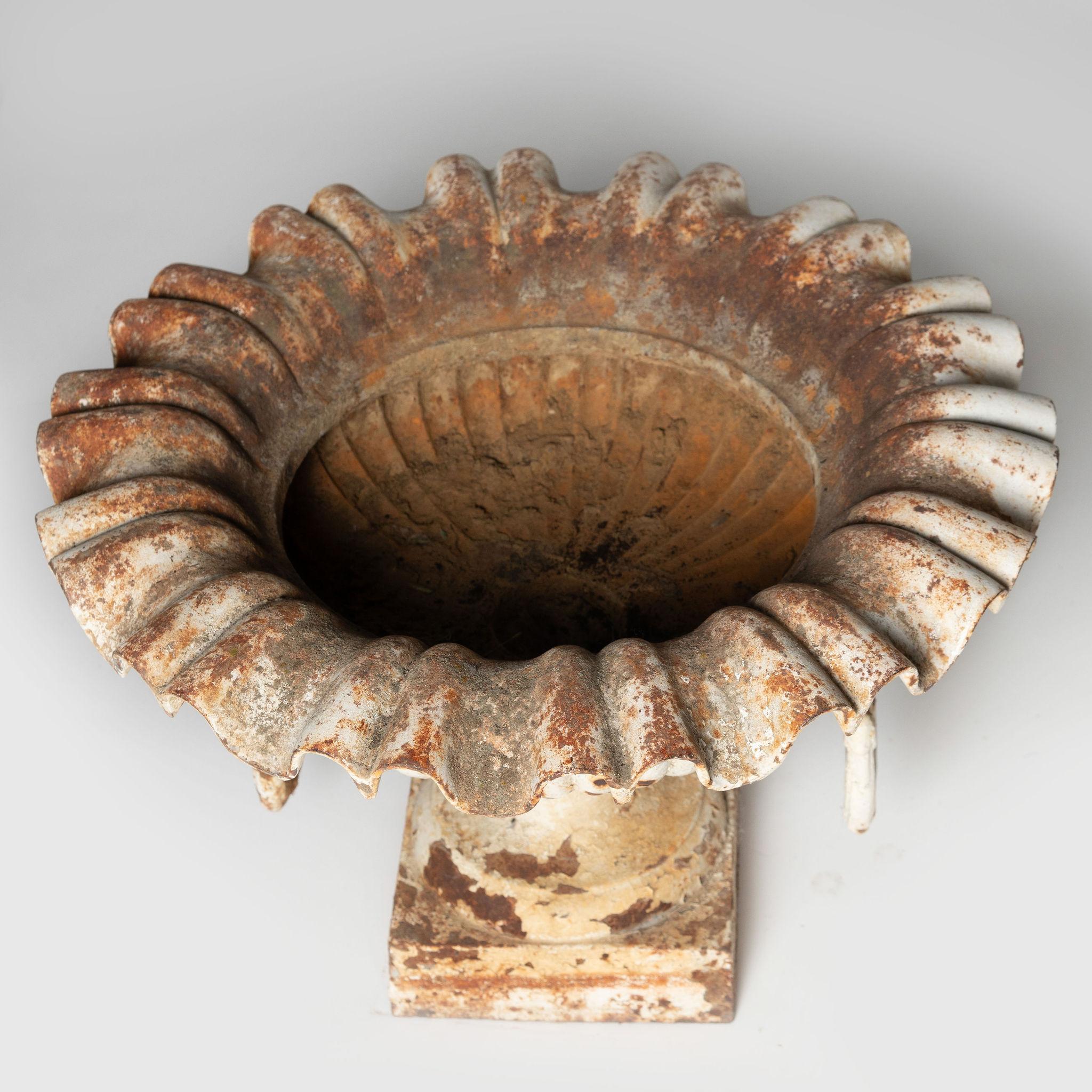 Antikes französisches Paar Urnen mit Löwenkopf, Pflanzgefäße, Gusseisen, Gusseisen  im Angebot 2