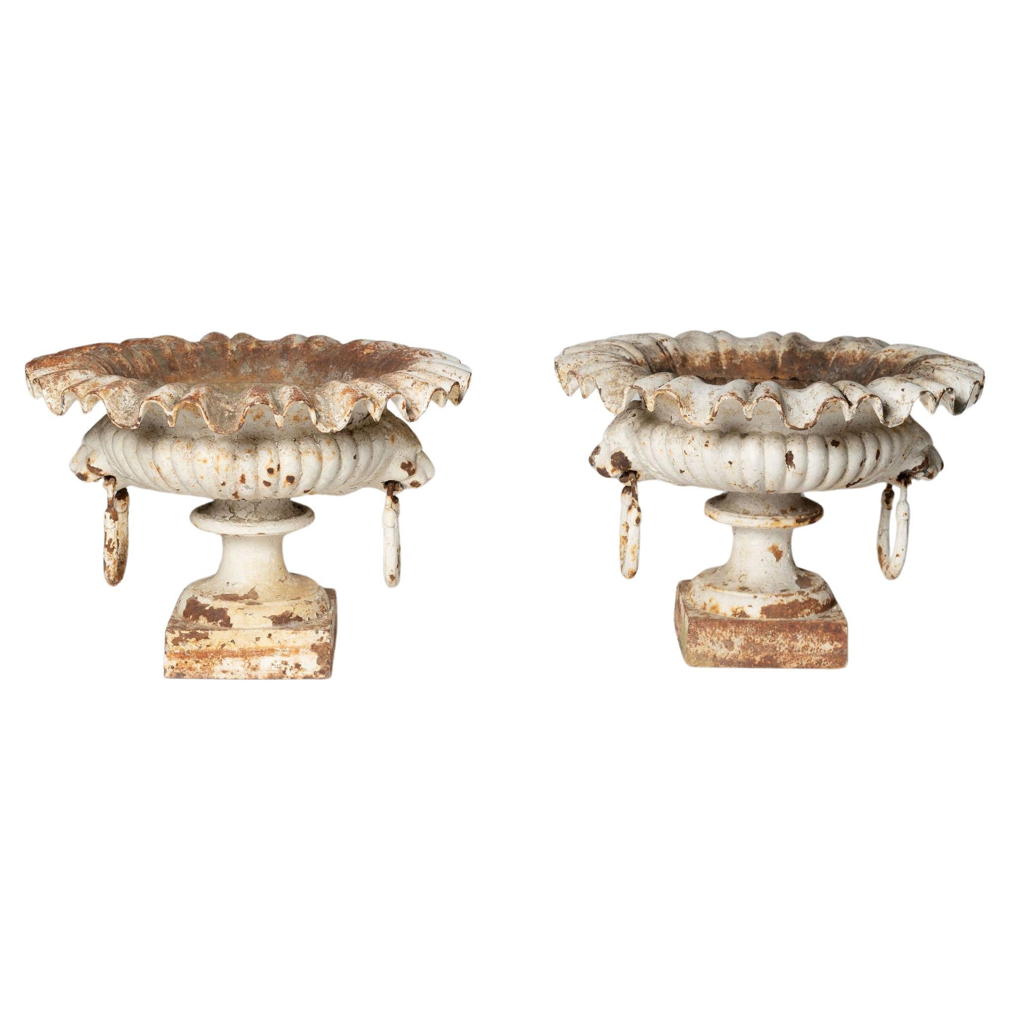 Antikes französisches Paar Urnen mit Löwenkopf, Pflanzgefäße, Gusseisen, Gusseisen 