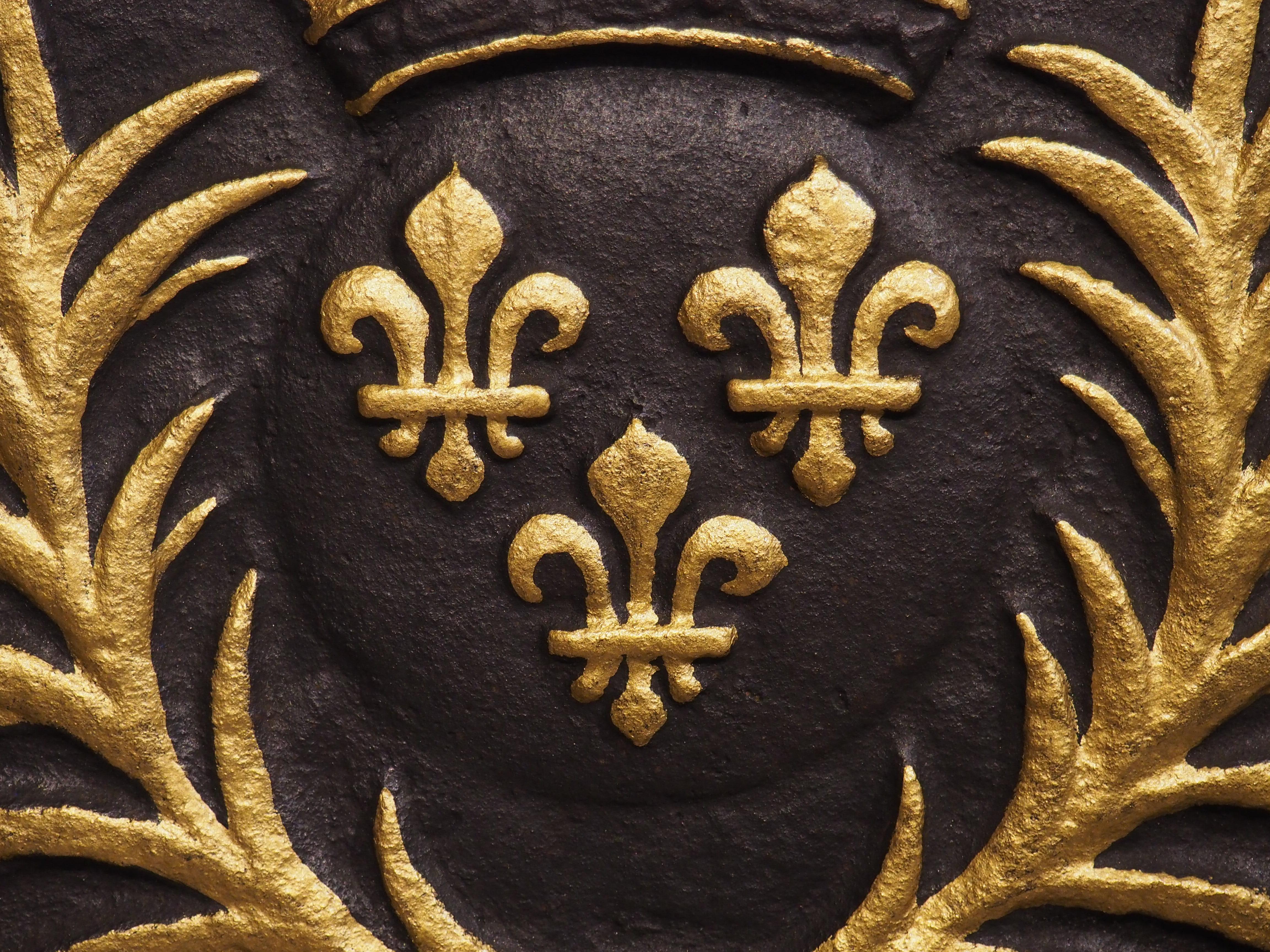 Antique French Parcel Gilt Cast Iron Fireback, The Arms of France, 19th Century 6
