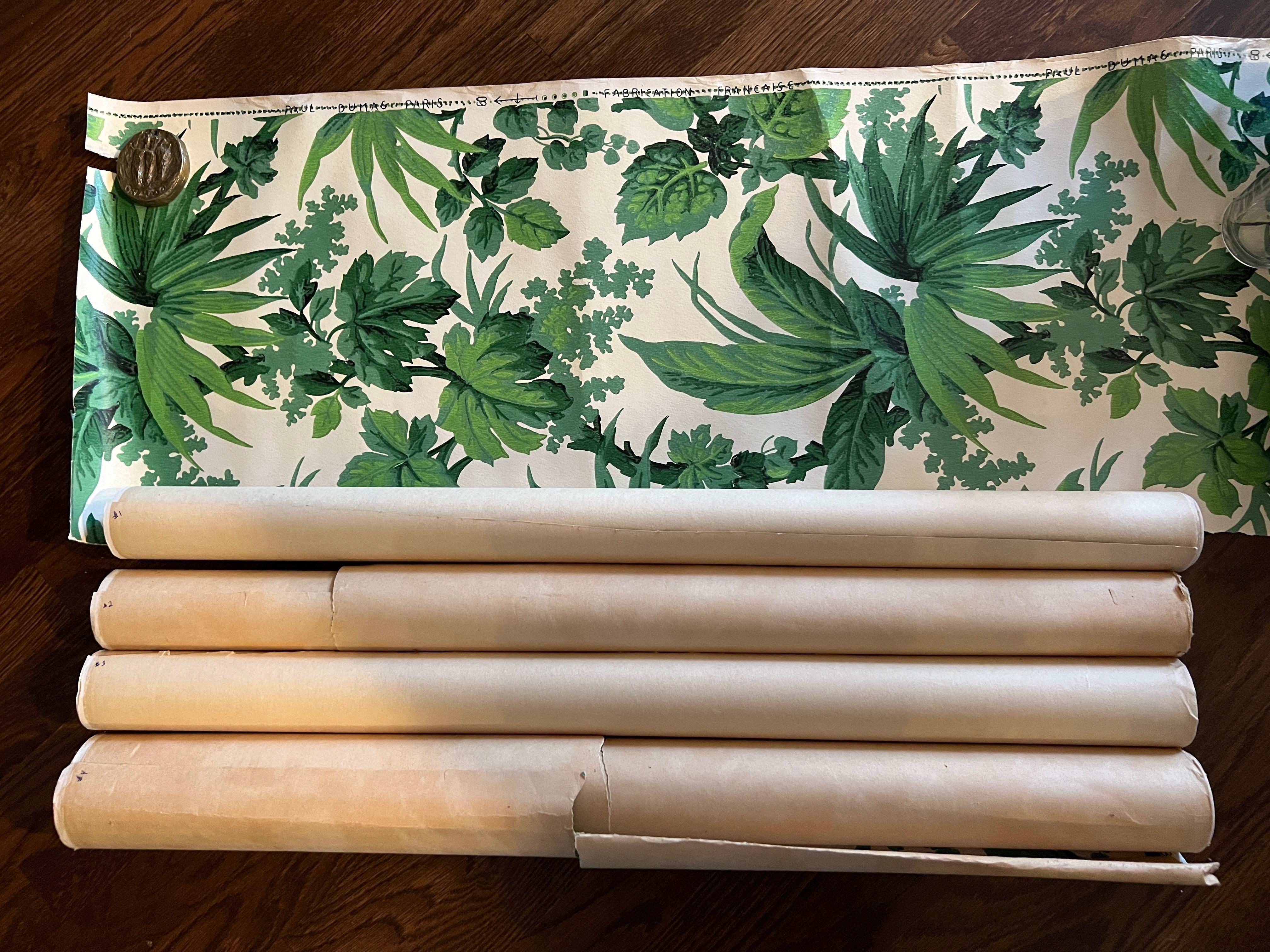 20th Century Antique French Paul Dumas Green Foliate Wall Paper 60+ FT - 4 Rolls  For Sale