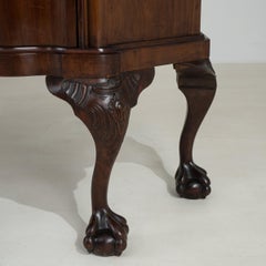 Antique French Provincial Mahogany Vitrine with Glass Doors, 1820s