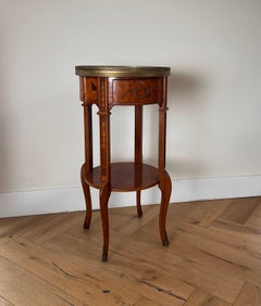 Antique French Provincial Parquet Side Table, Siglo XIX