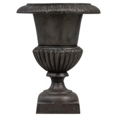 Antique French Provincial Planter, Dark Bronze Cast Iron, 1900s Design