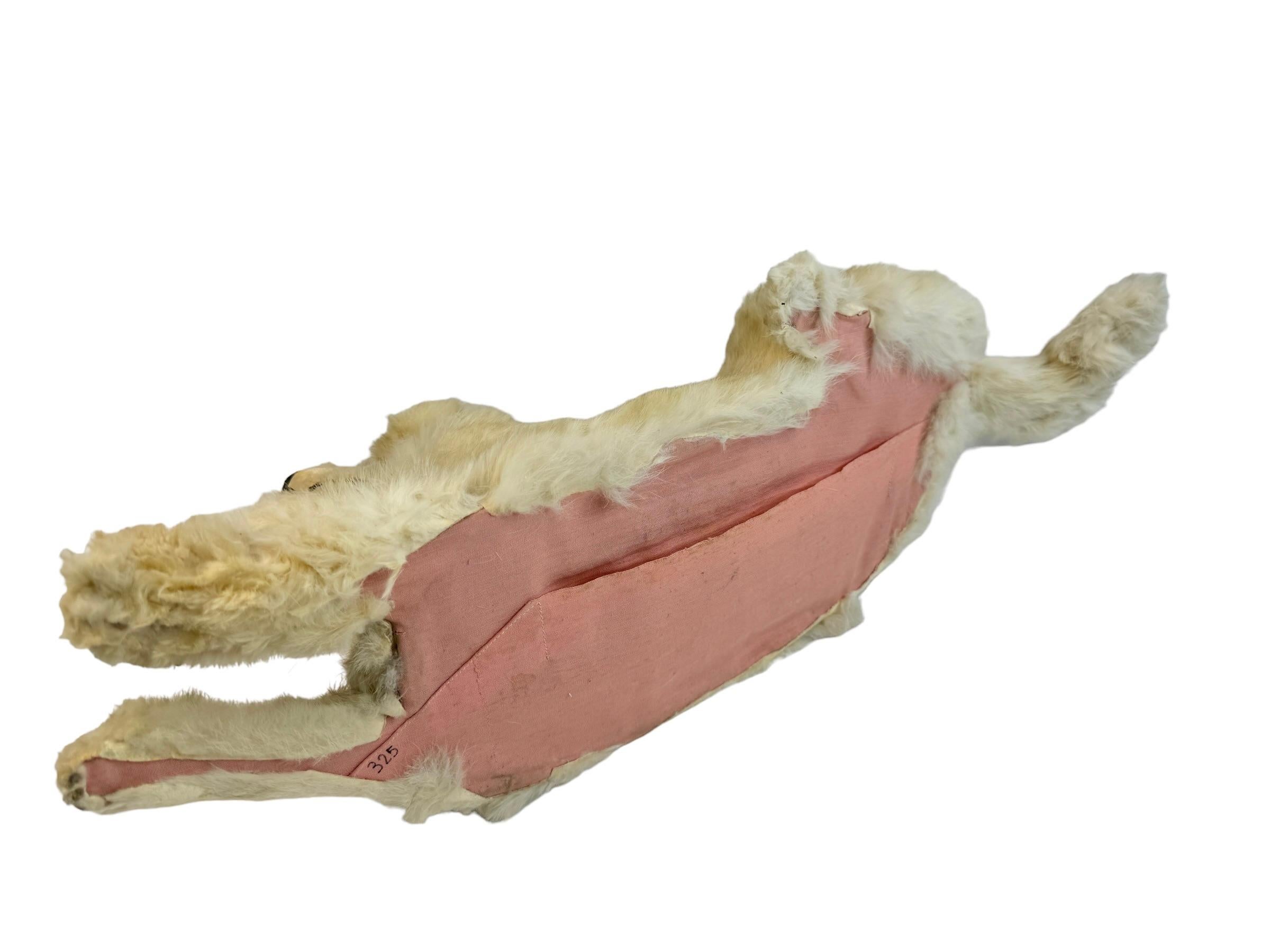 Antique French Pyjama Dog, Jumeau Kestner, Antique Toy Container Box 1900s For Sale 3