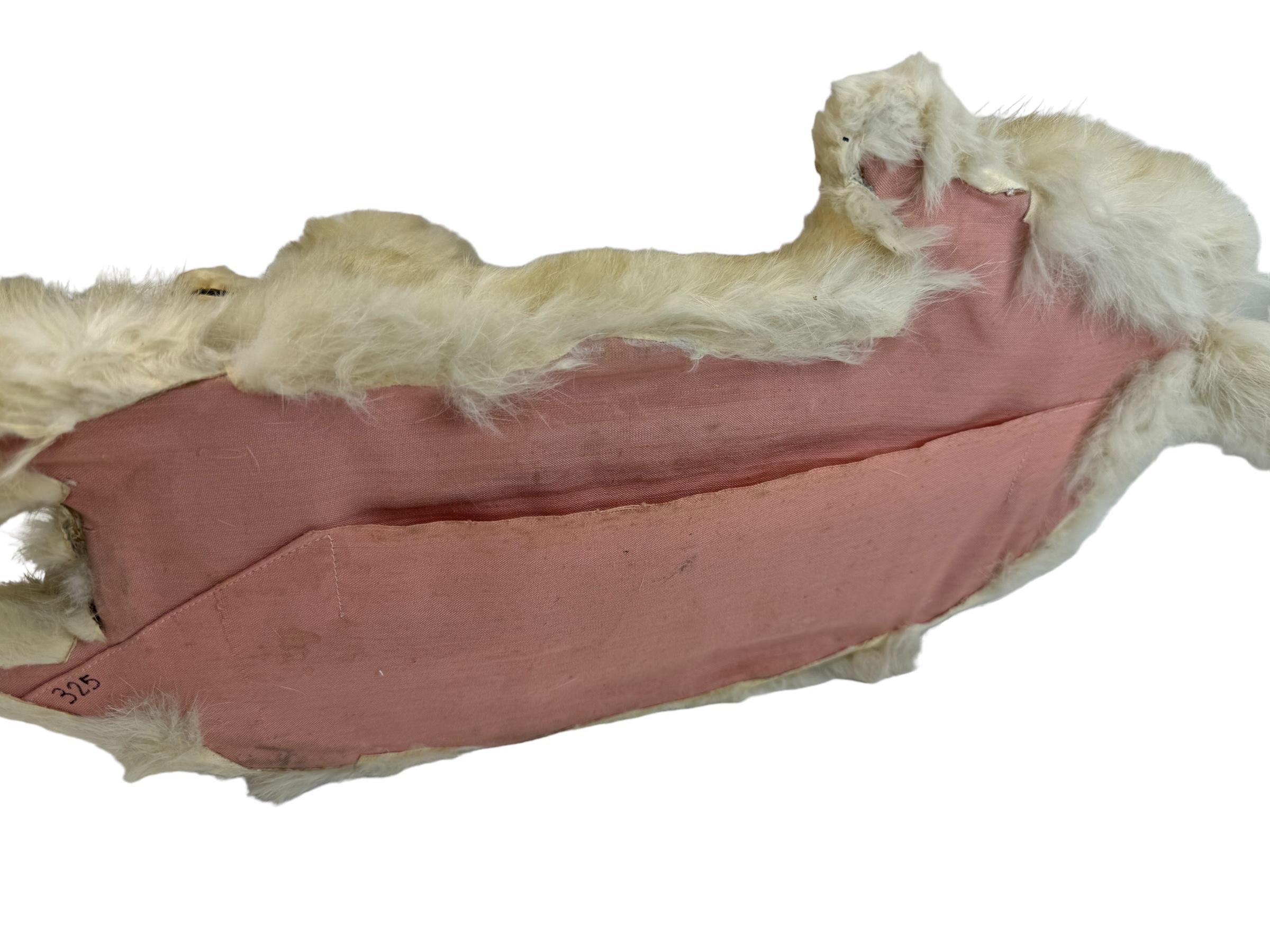 Antique French Pyjama Dog, Jumeau Kestner, Antique Toy Container Box 1900s For Sale 5