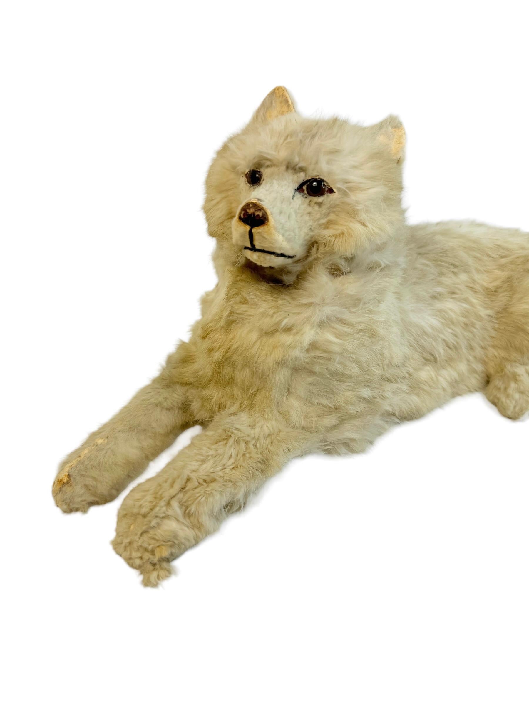 Beautiful antique French pajama dog, French Loulou dog, real fur over paper mache! He has wonderful glass eyes, a paper mache body and soft fur. Beautiful facial expression!
There is some wear due to age as the dog is over 100 years old!!
The fur is