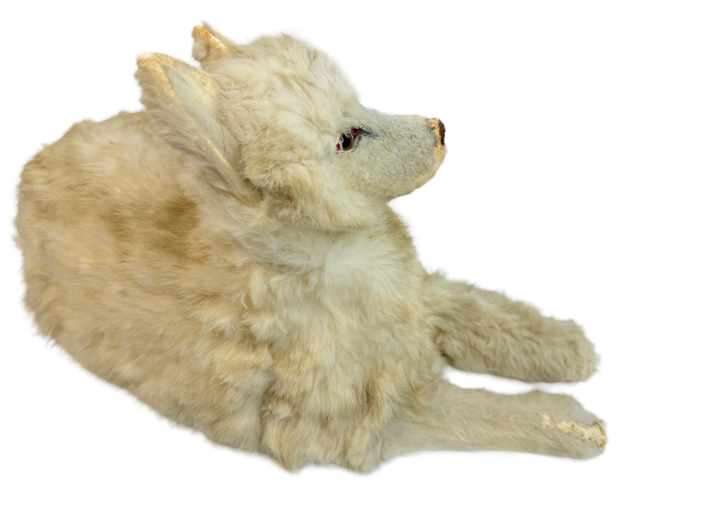 Art Nouveau Antique French Pyjama Dog, Jumeau Kestner, Antique Toy Container Box 1900s For Sale