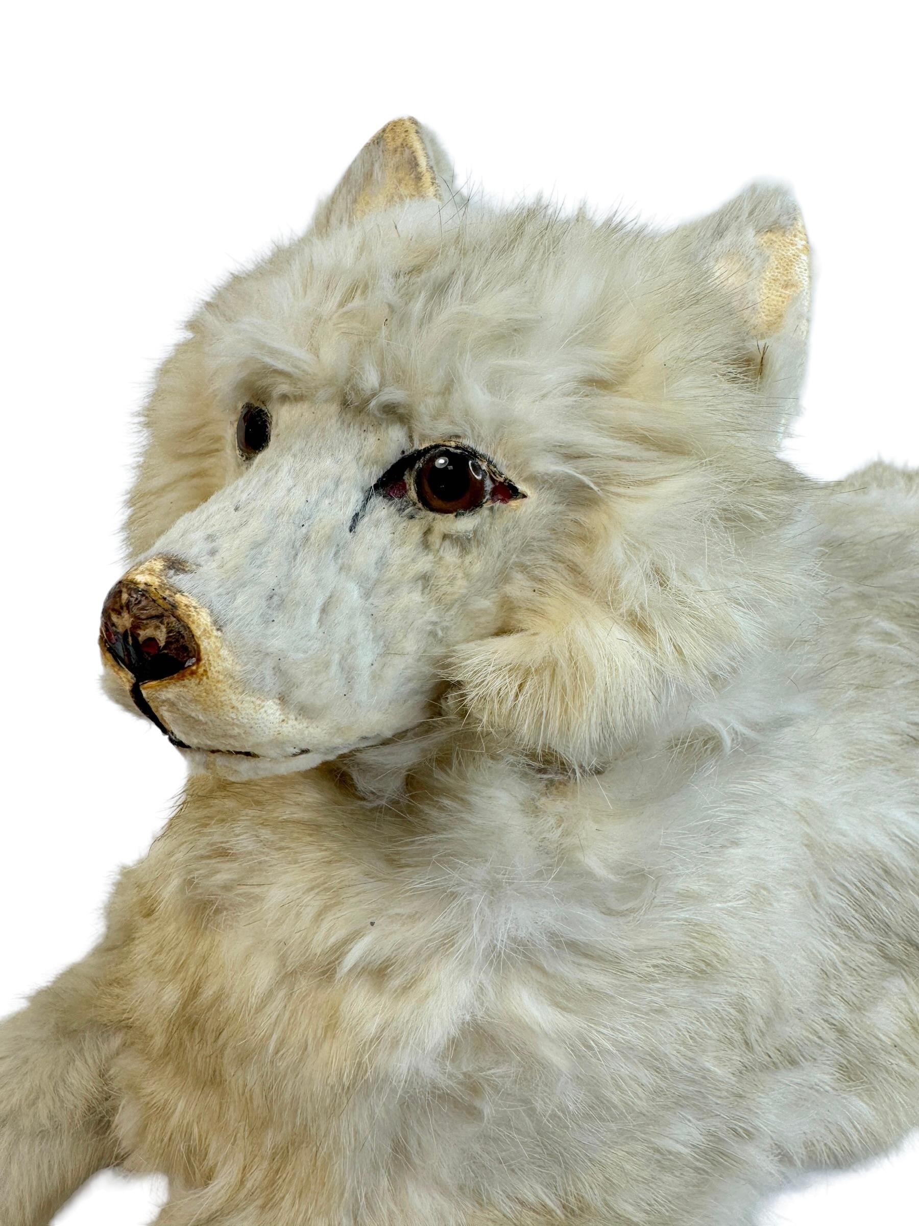 Antique French Pyjama Dog, Jumeau Kestner, Antique Toy Container Box 1900s In Good Condition For Sale In Nuernberg, DE