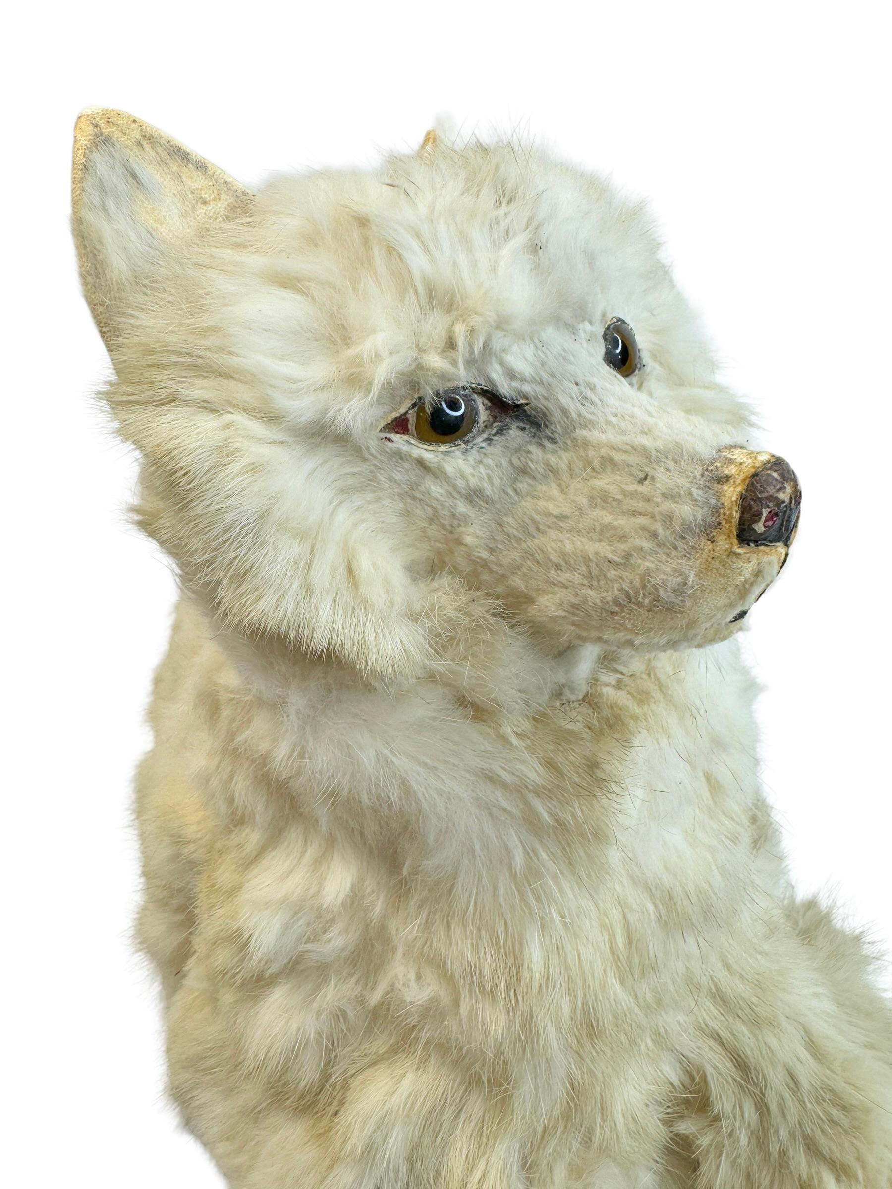 20th Century Antique French Pyjama Dog, Jumeau Kestner, Antique Toy Container Box 1900s For Sale
