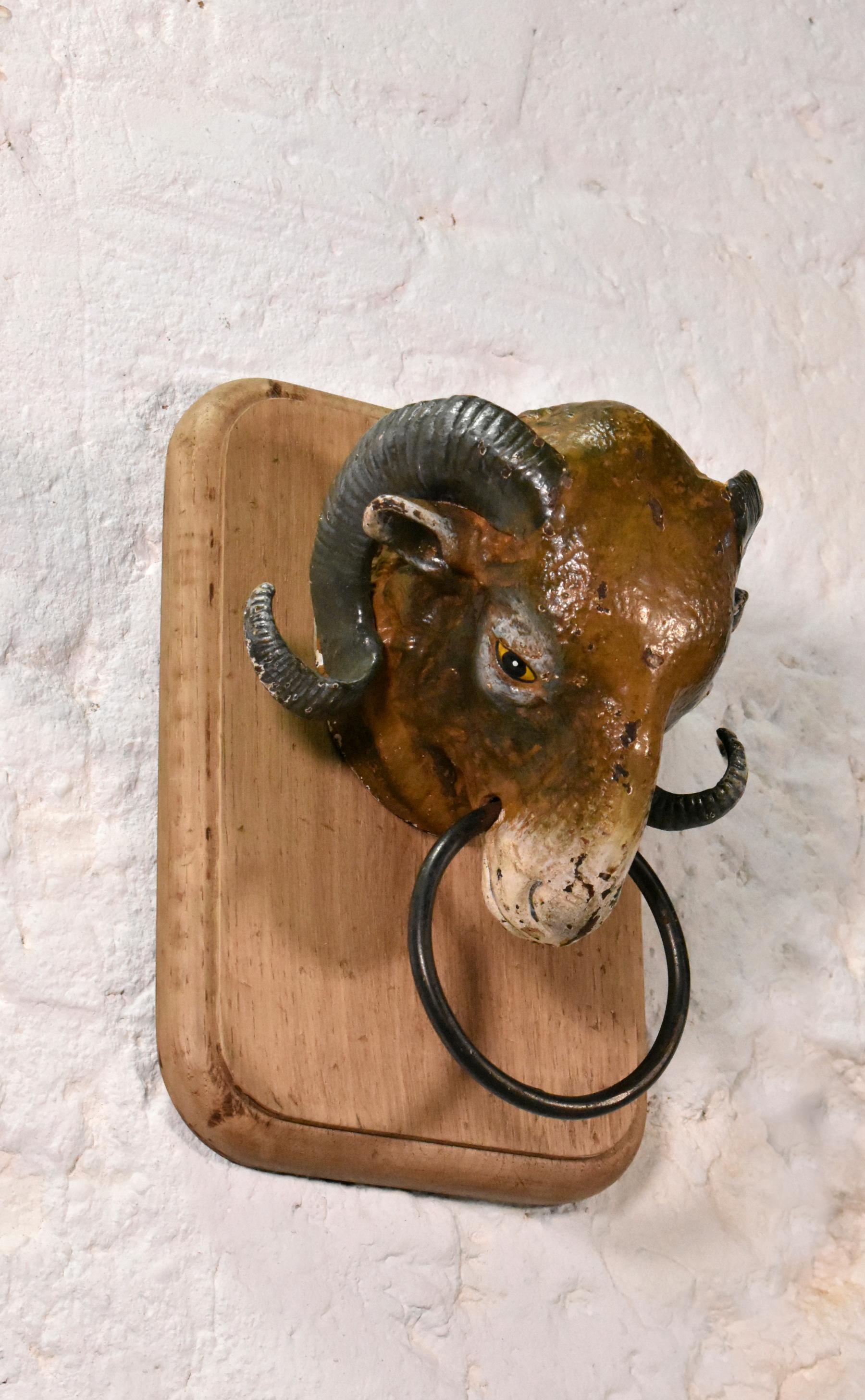 Antique French Ram's Head from Butcher's Shop (19C) For Sale 1