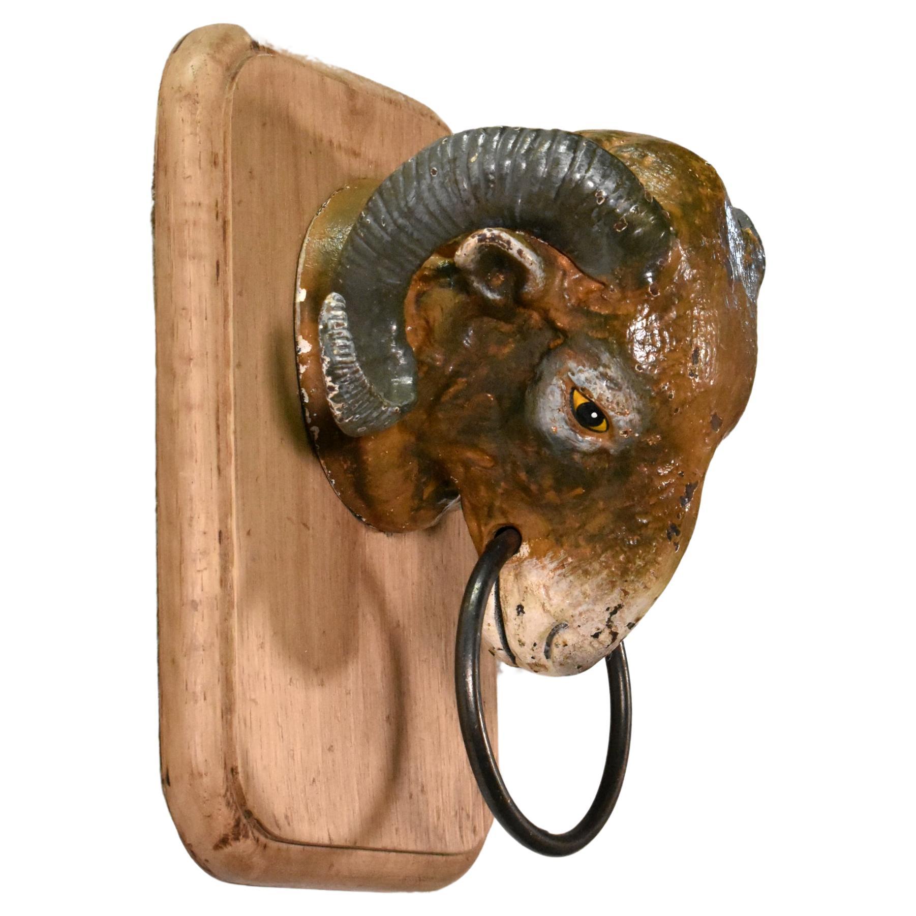 Antique French Ram's Head from Butcher's Shop (19C) For Sale