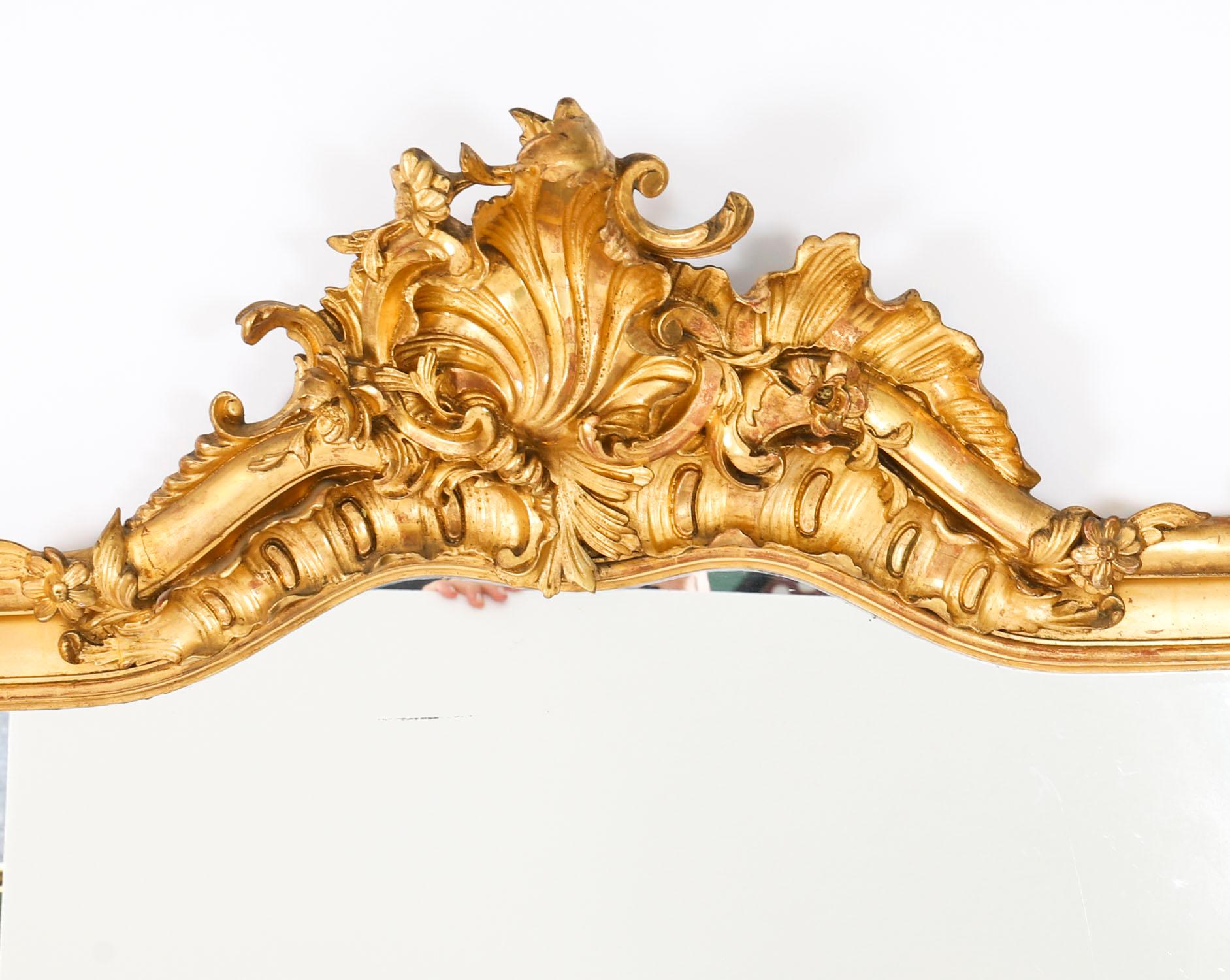 Antique French Rococo Giltwood Wall Mirror 19th Century In Good Condition For Sale In London, GB