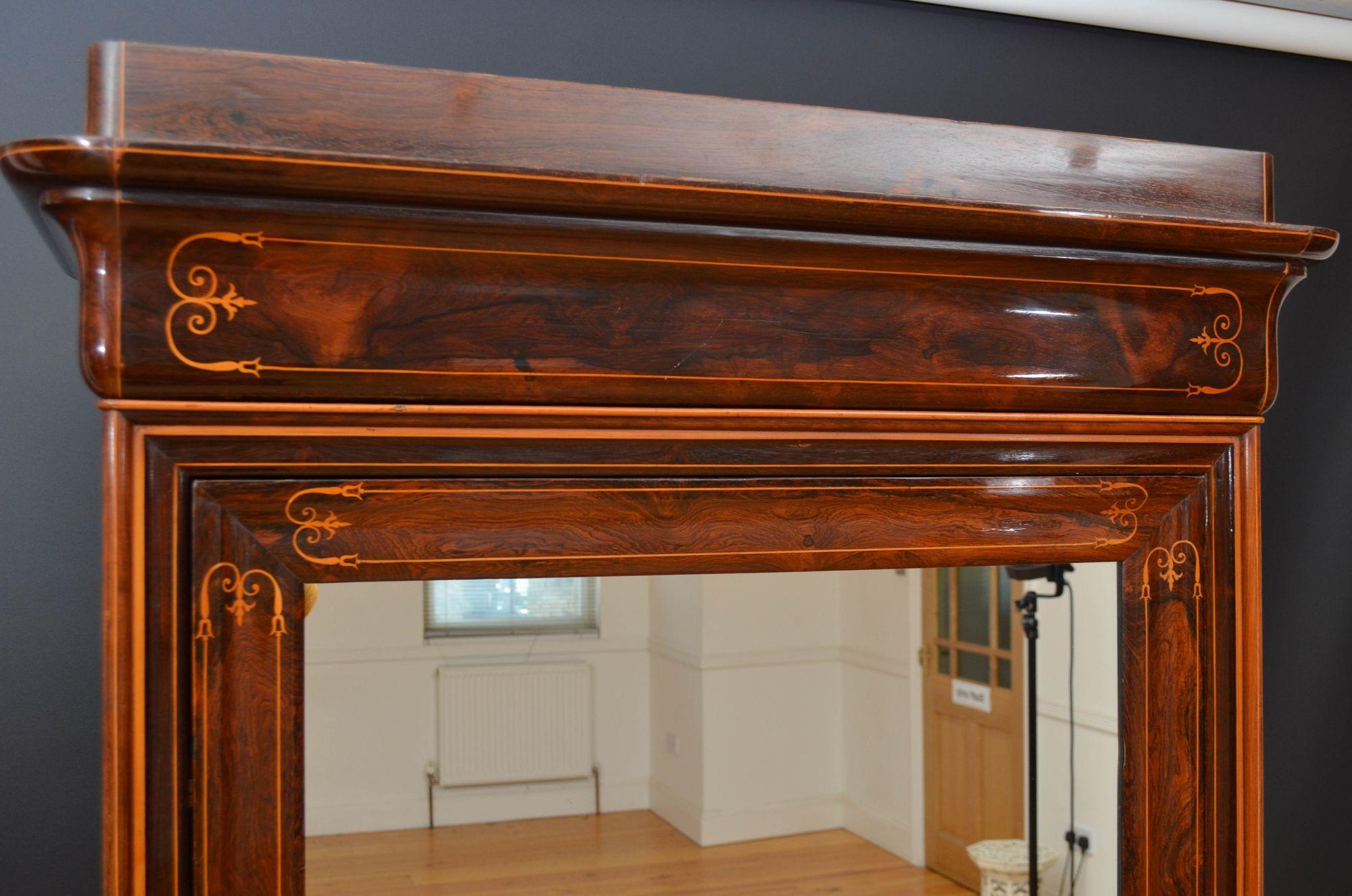 Antique French Rosewood Wardrobe or Bookcase 4