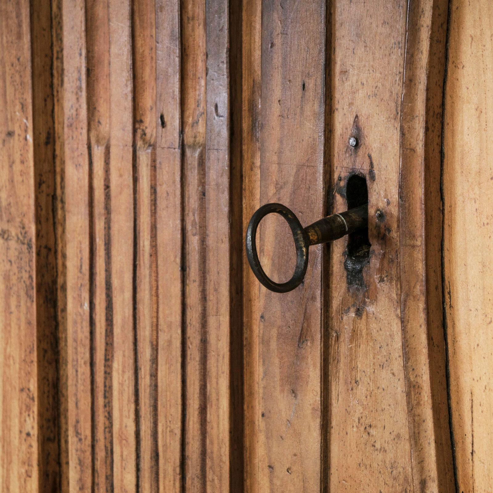 Très décorative armoire rustique en bois de fruitier (cerisier) sculptée à la main. Ca. 1800 - 1850.

Cette armoire a été poncée à la main pour renforcer l'impression de rusticité, révélant un motif de bois chaud de couleur miel. Les portes