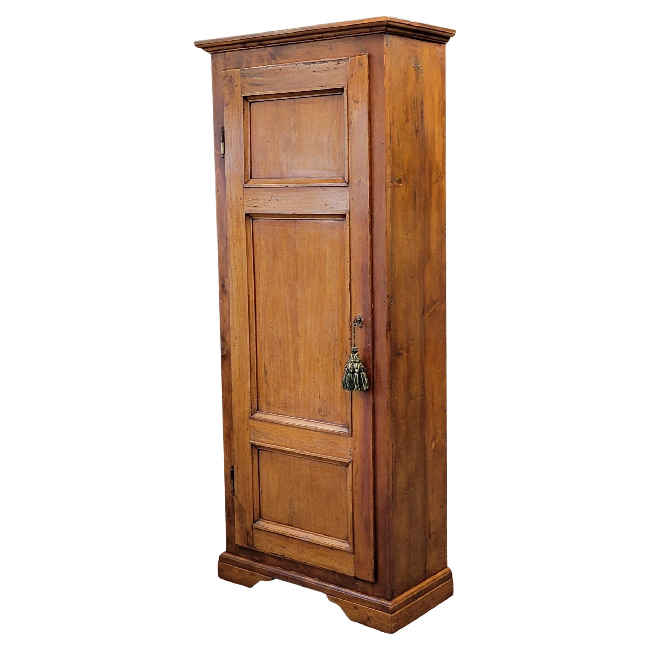 Antique French Rustic Pine and Cherry Wood Cupboard For Sale
