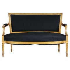 Antique French salon canape/sofa Louis XVI, gold