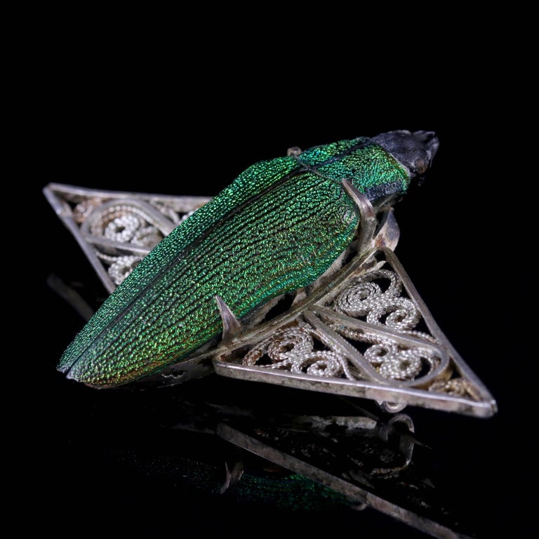 Broche Art Nouveau En Bronze Représentant Un Scarabée - Pièce D'occasion (bon état)